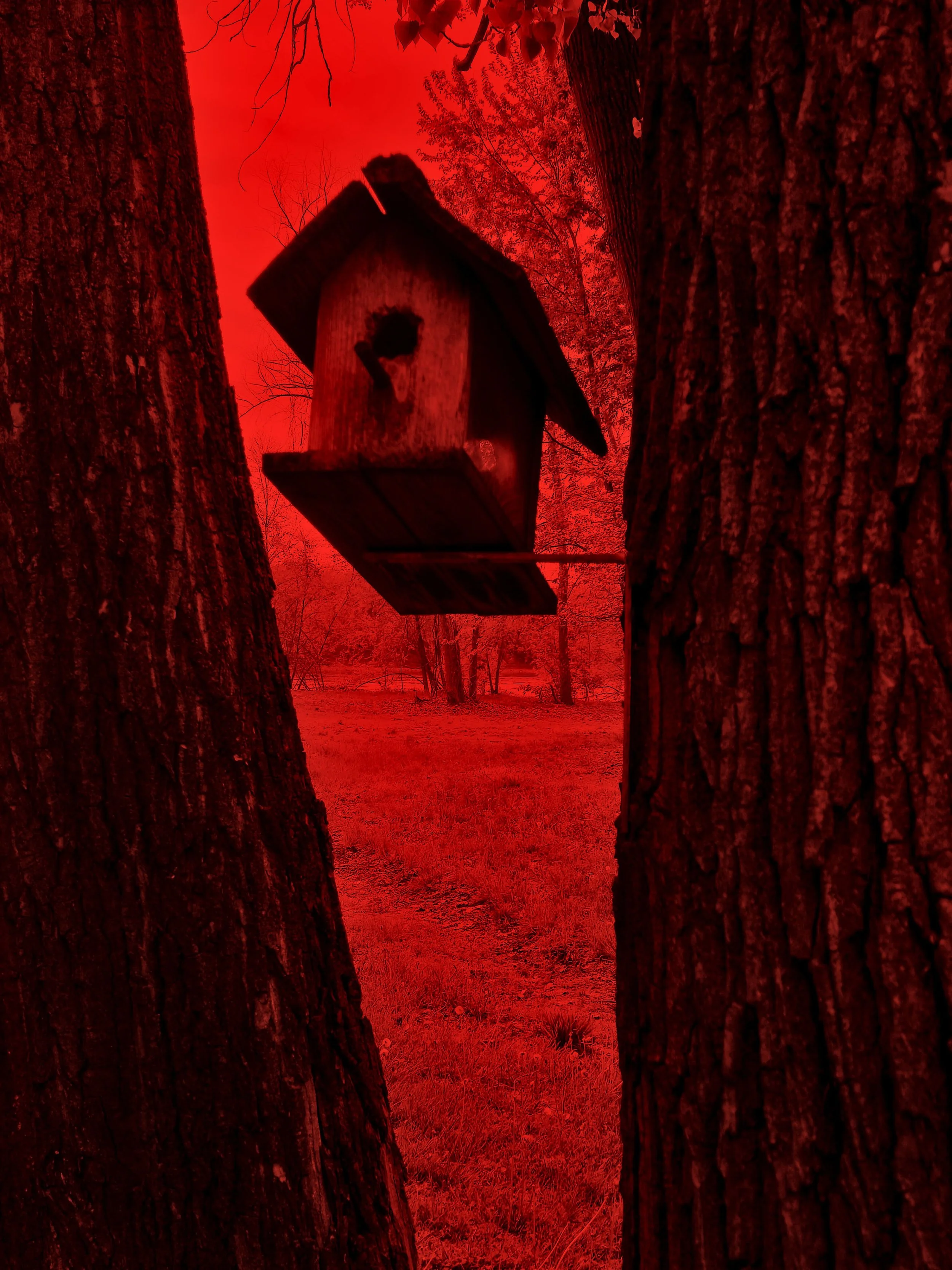14x11 St. Charles Red 3.jpg