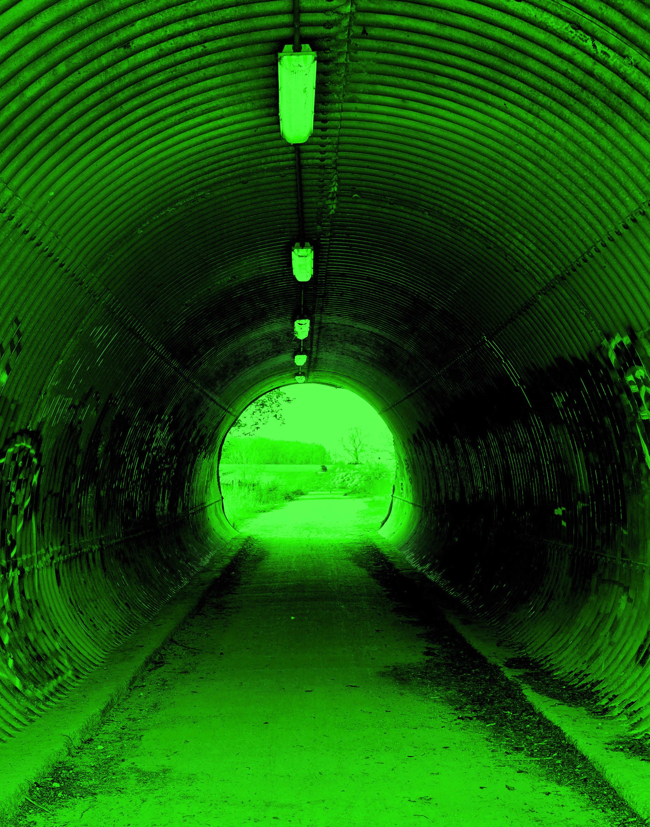 Trail Tunnel Green 11x14.jpg