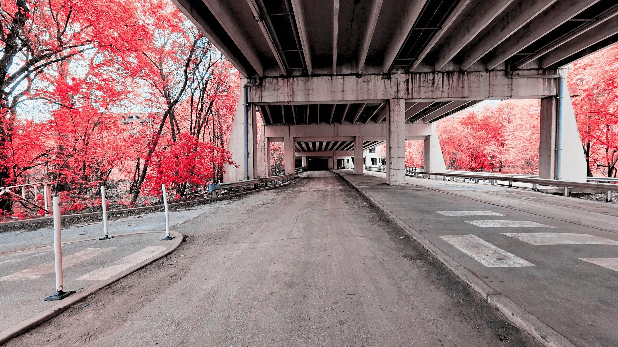 Overpass Pink 16x9.jpg