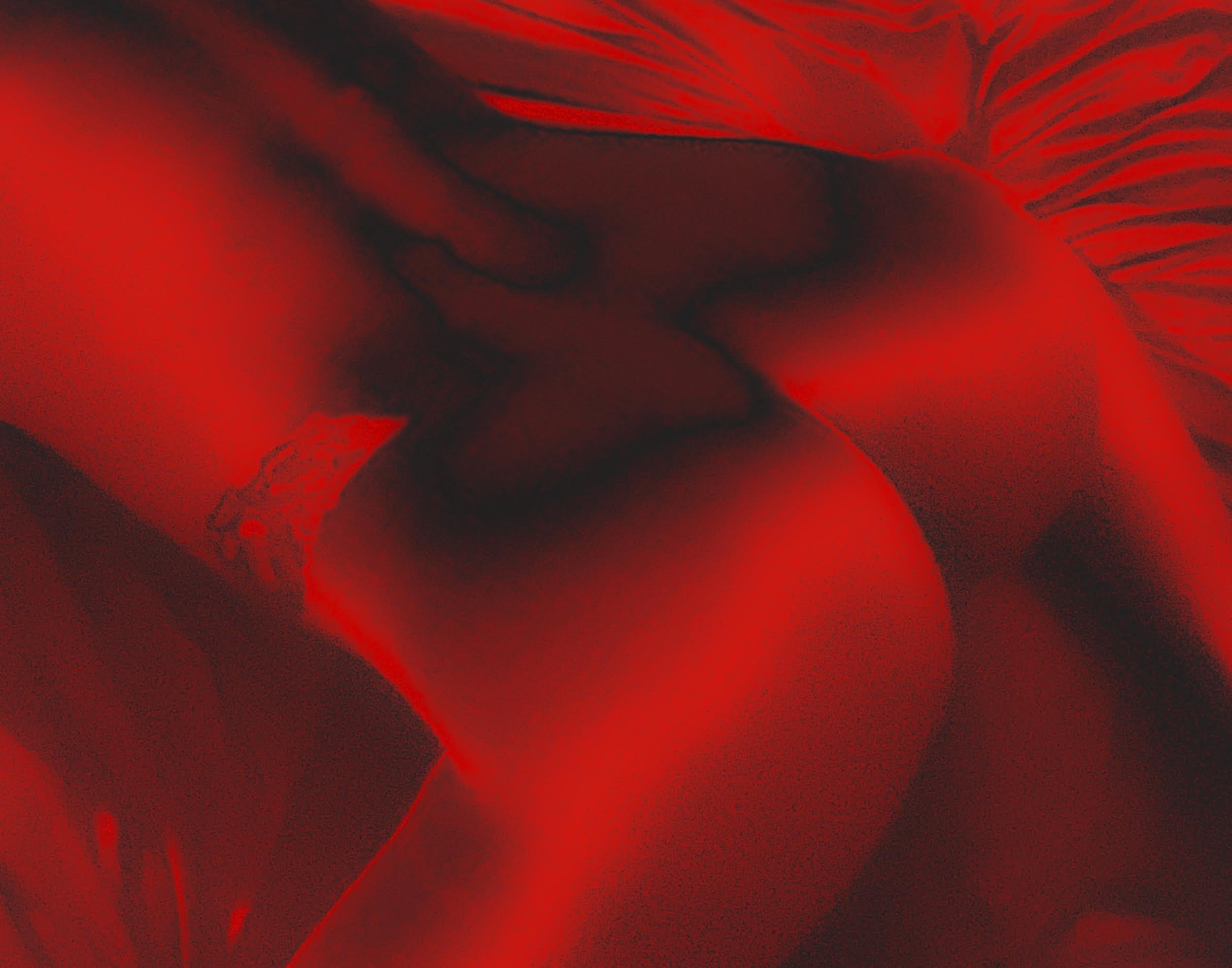Red 1.jpg