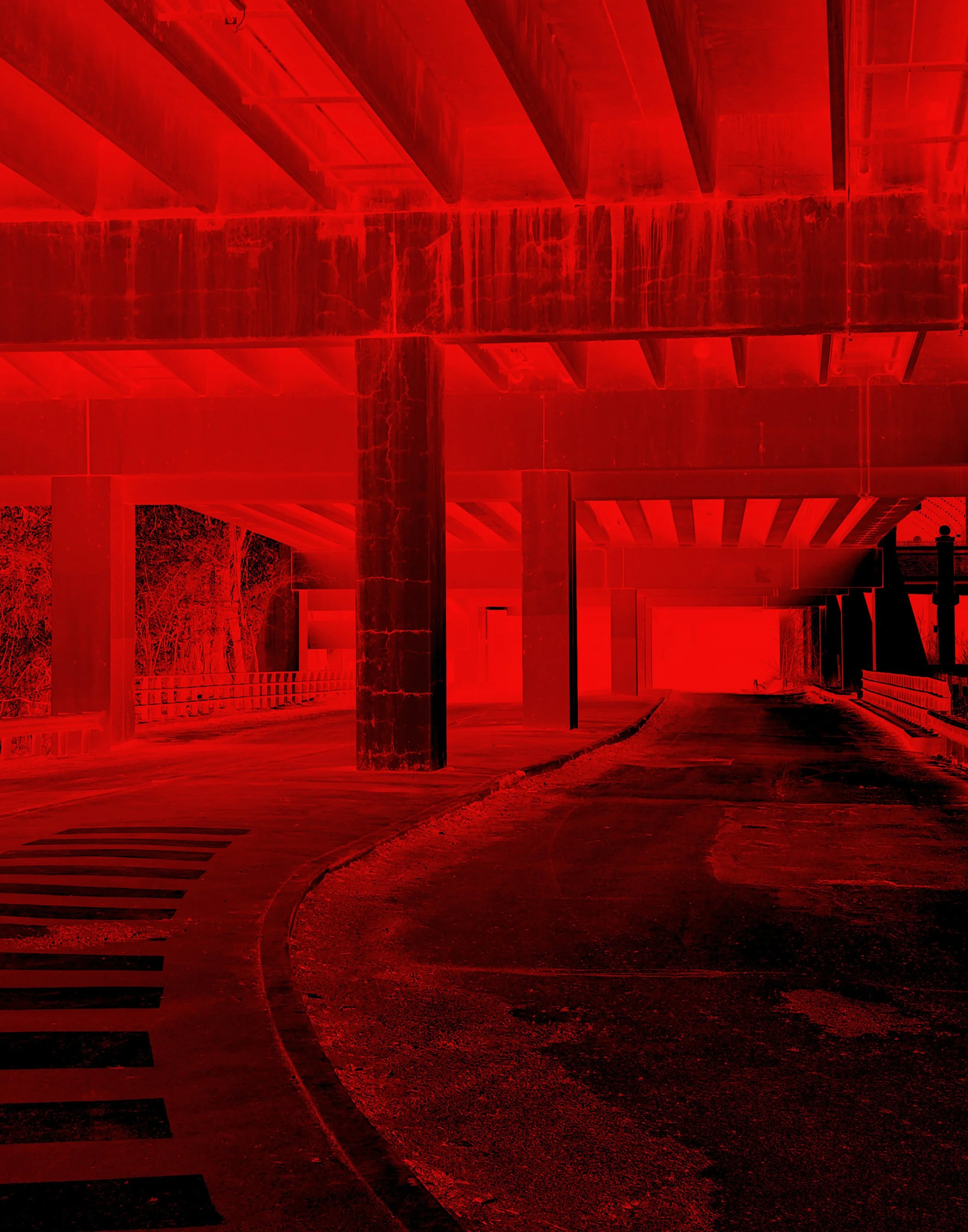 14x11 St. Charles Red.jpg