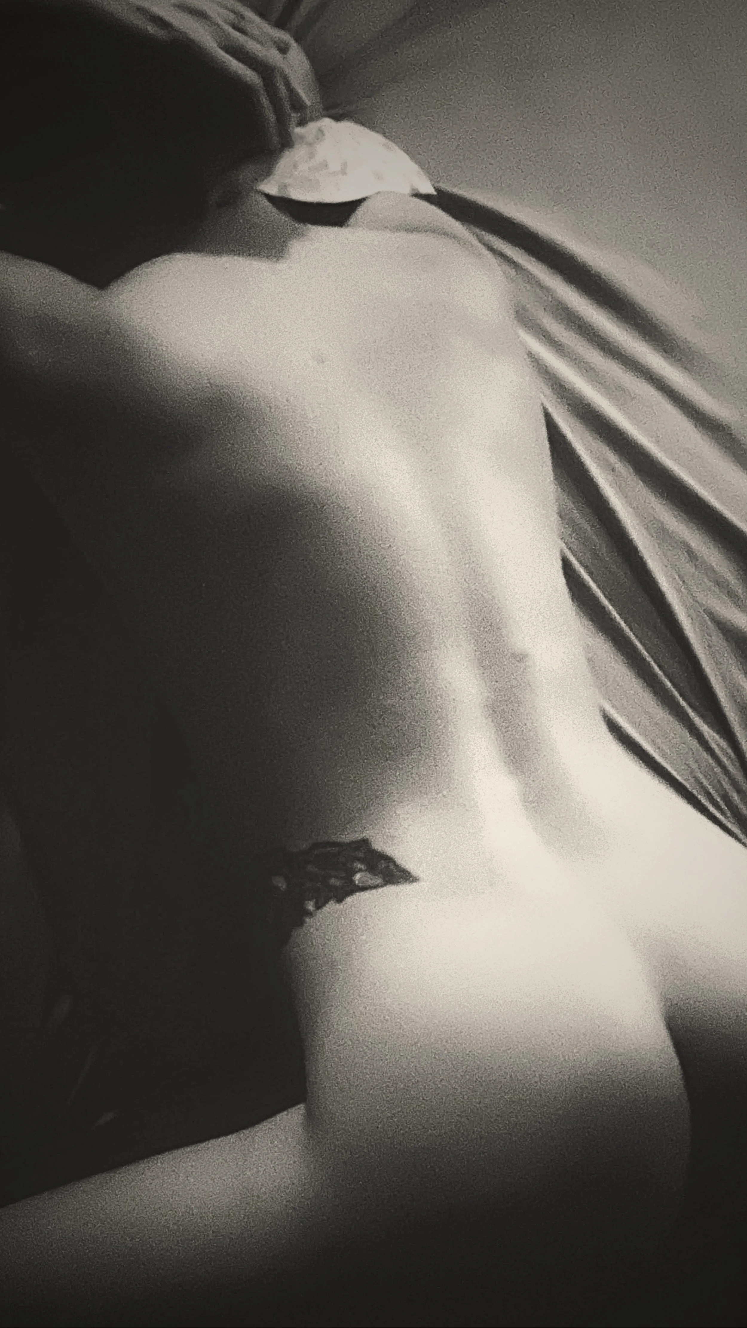A black and white nude figure photograph featuring a woman in an erotic pose