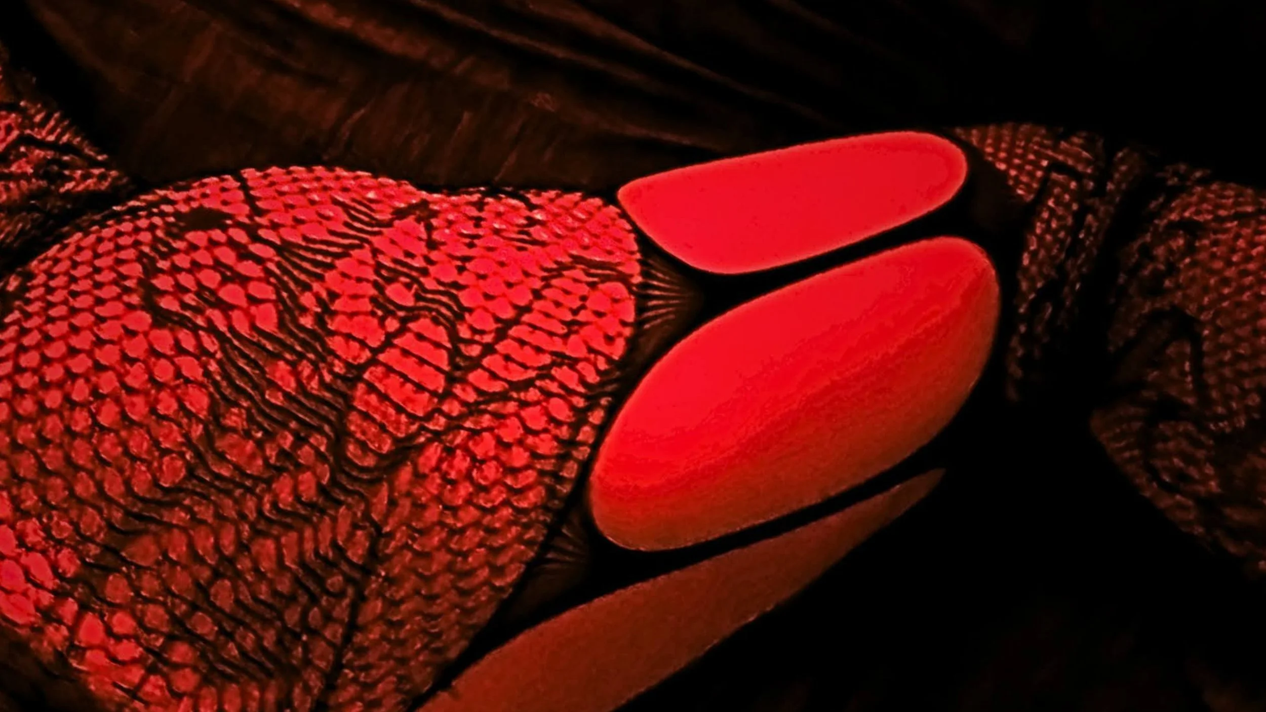 Person wearing red fishnet stockings, lace underwear, and a top, sitting on a black chair in a dimly lit room with red lighting. Close-up of a textured fishnet stocking and a portion of a person's thigh and leg, with dark background and red lighting