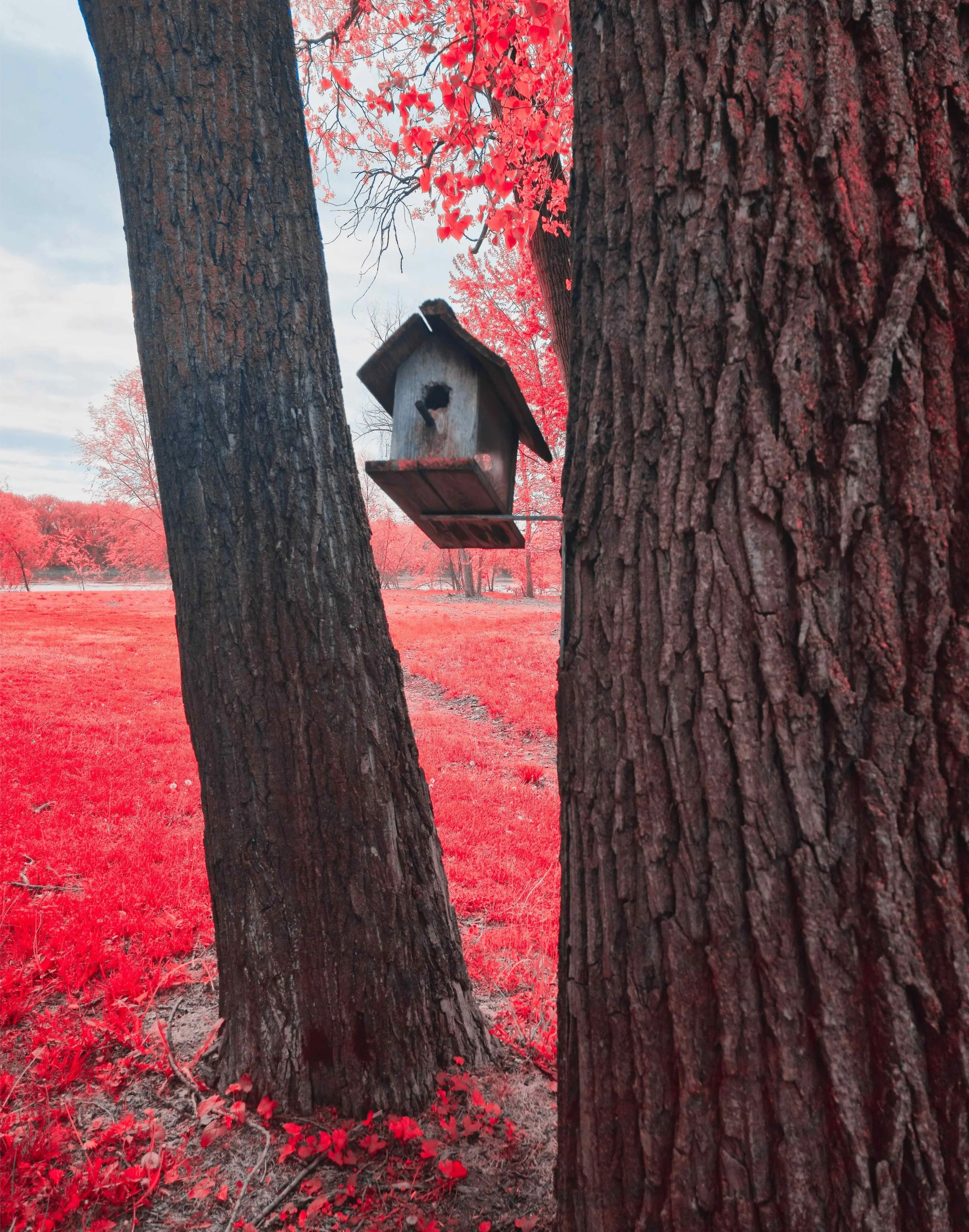 Birdhouse Pink 1.jpg