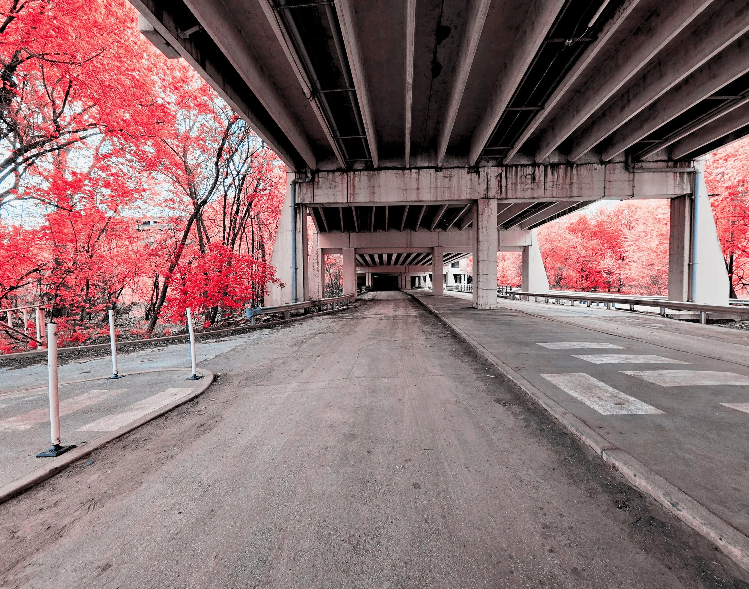 11x14 Pink St. Charles 1.jpg