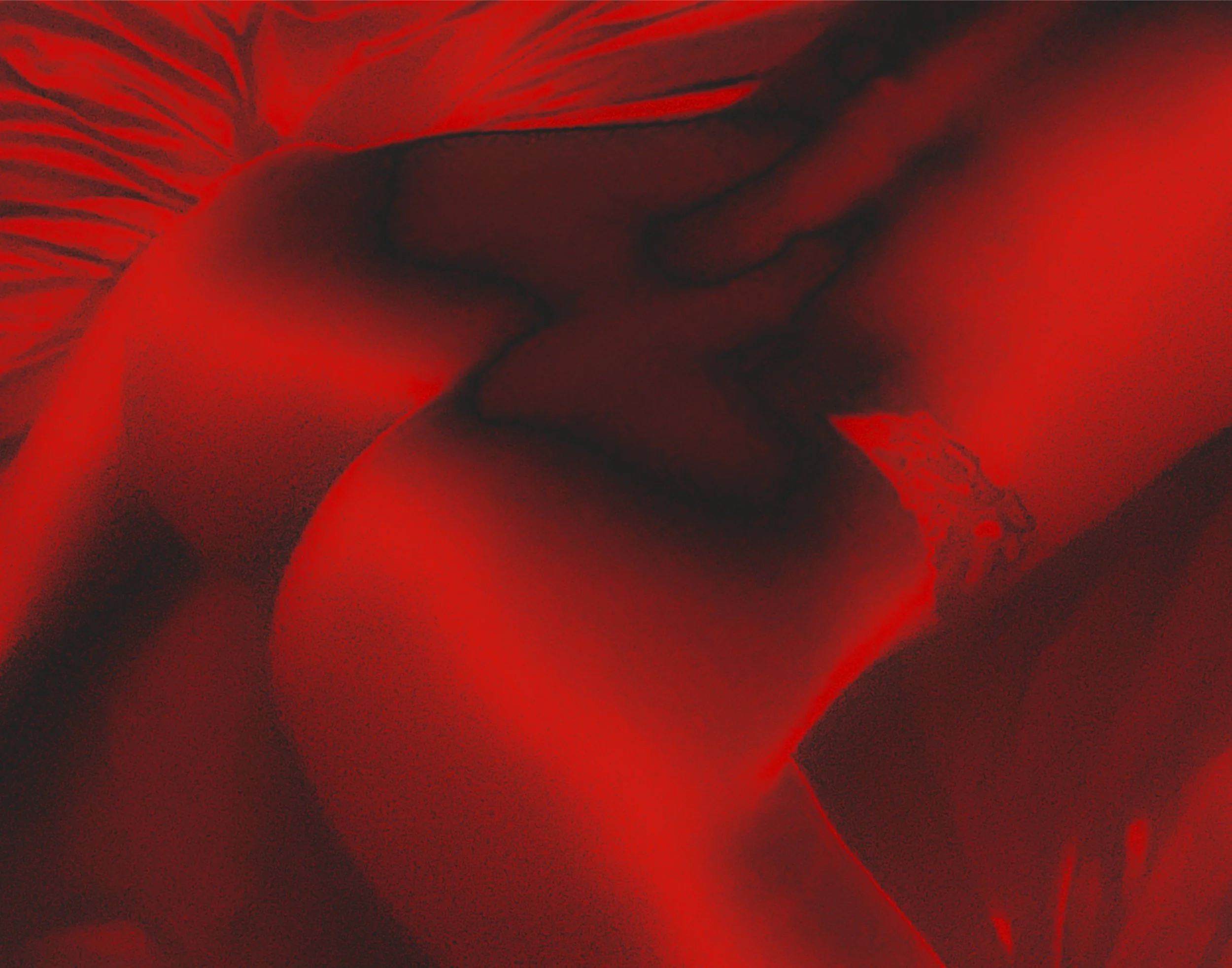 14x11 Red Nude Flipped.jpg