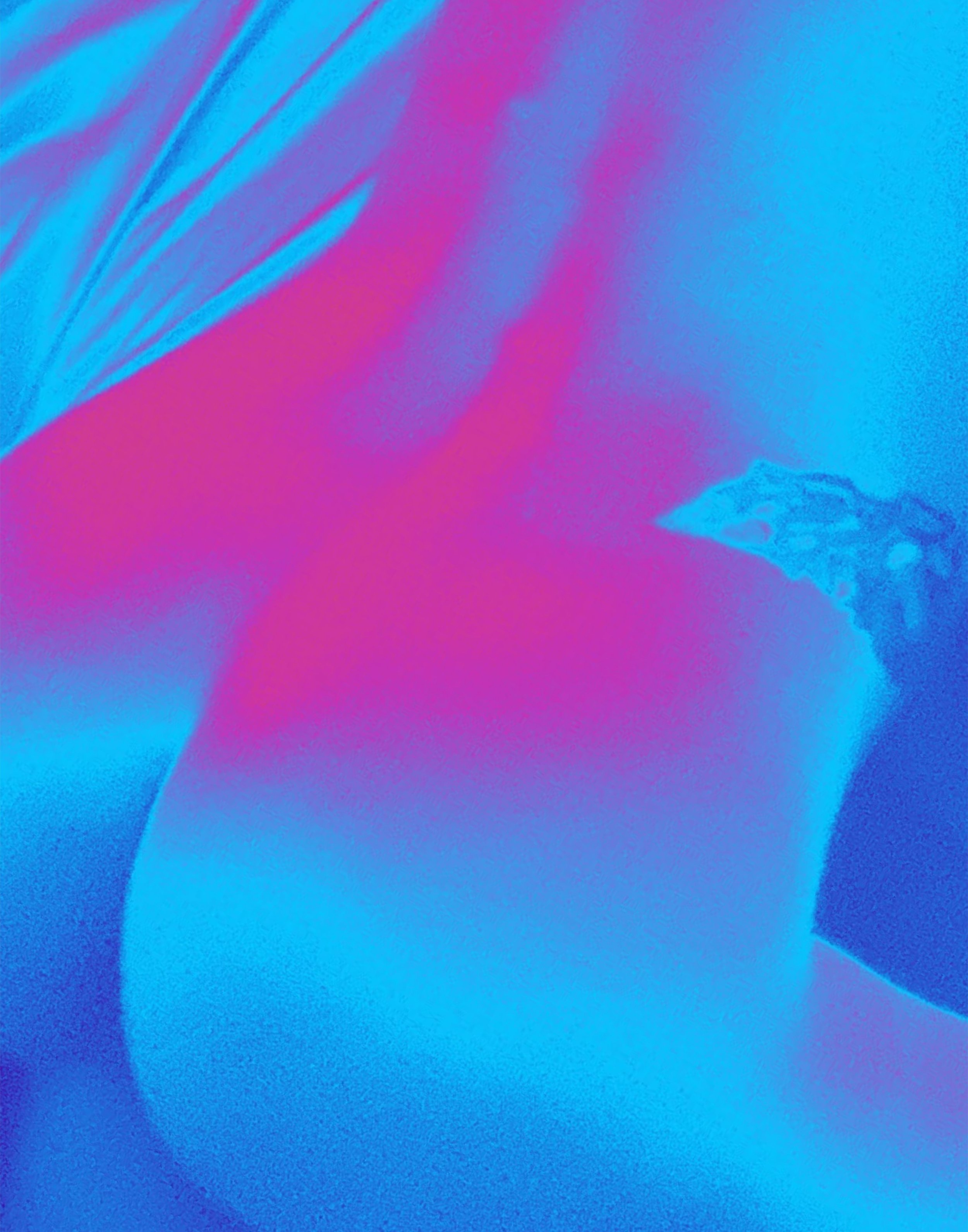 11x14 Hologram Nude Flipped.jpg