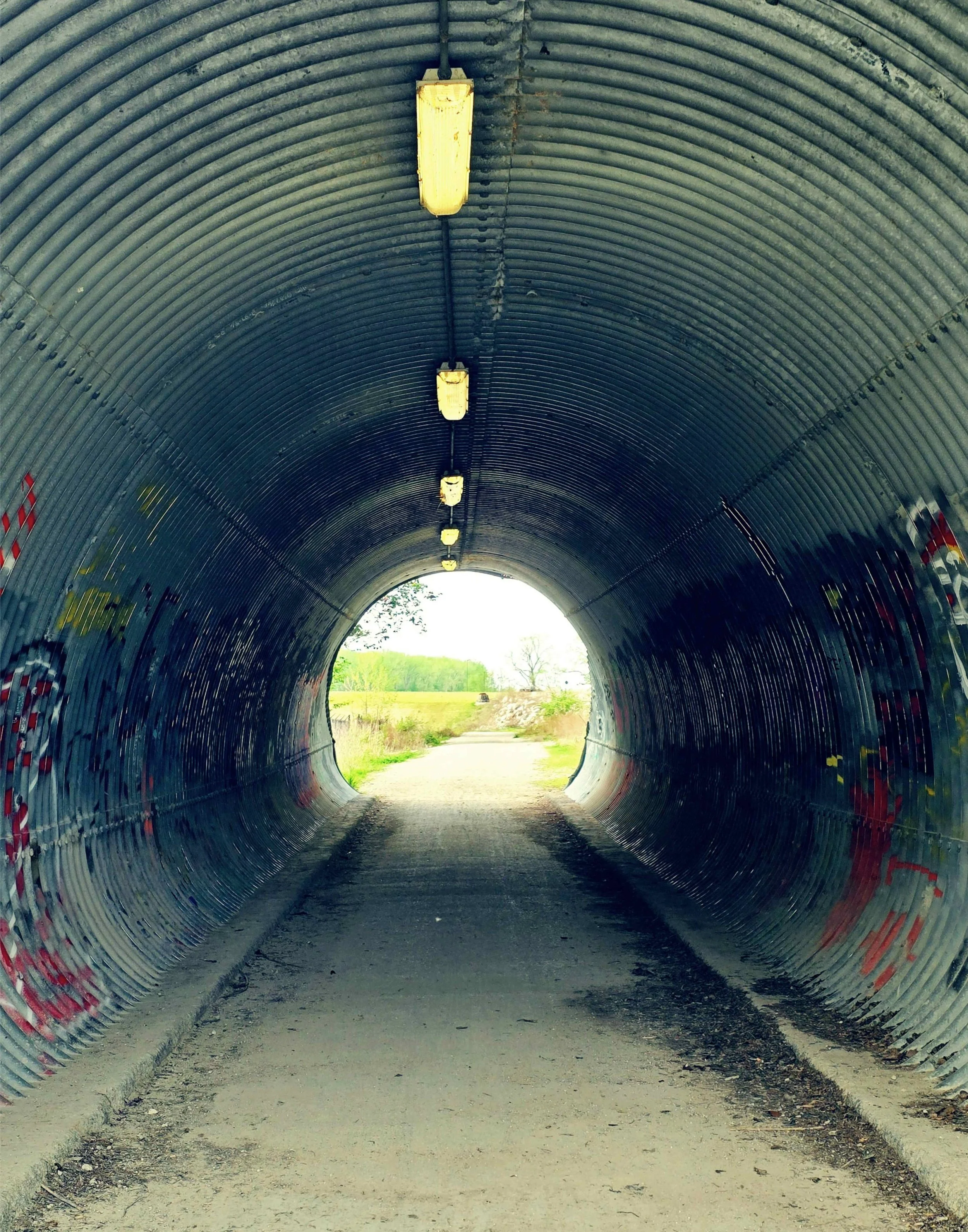 Trail Tunnel 11x14.jpg