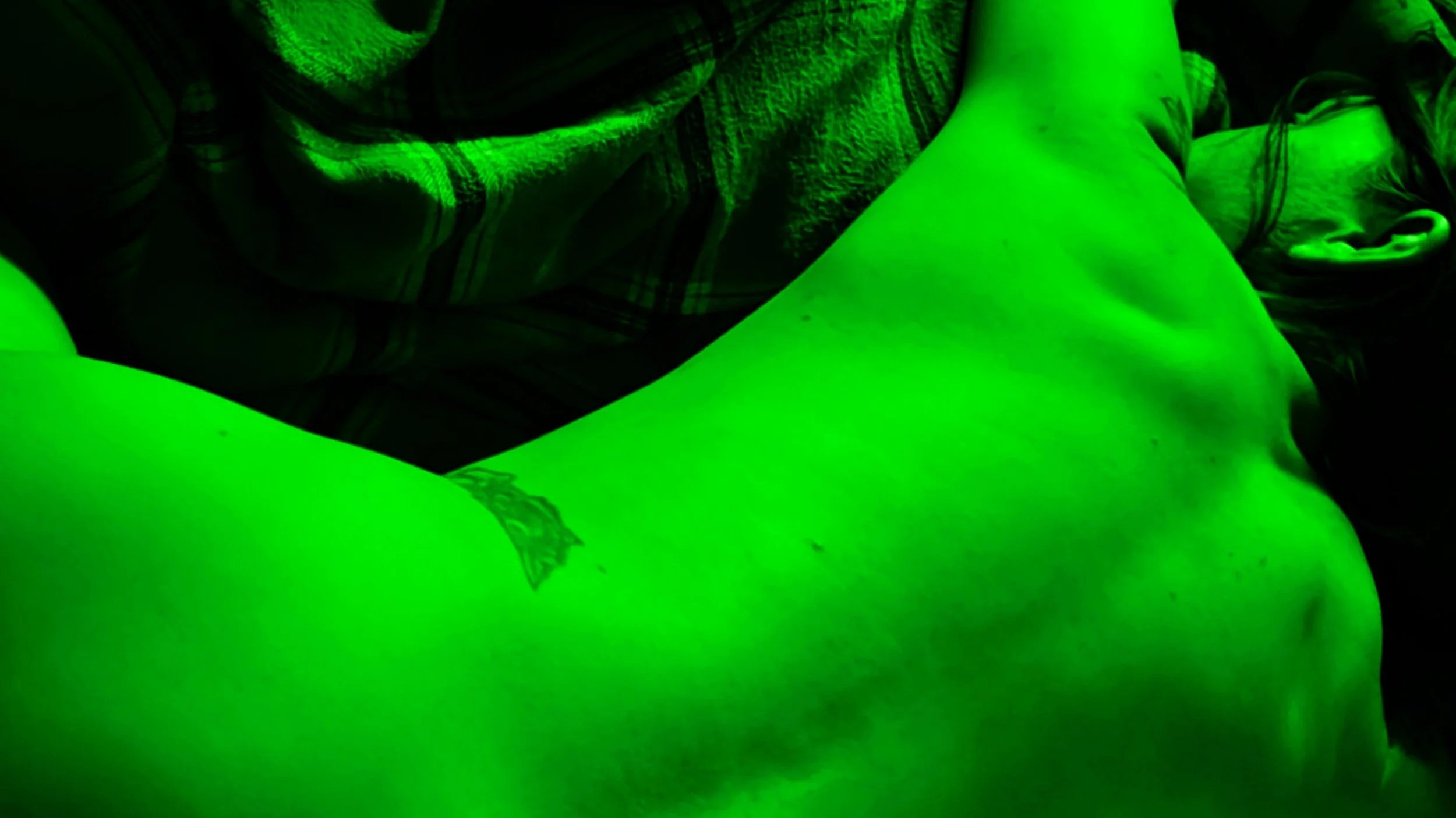 16x9 Green Nude.jpg
