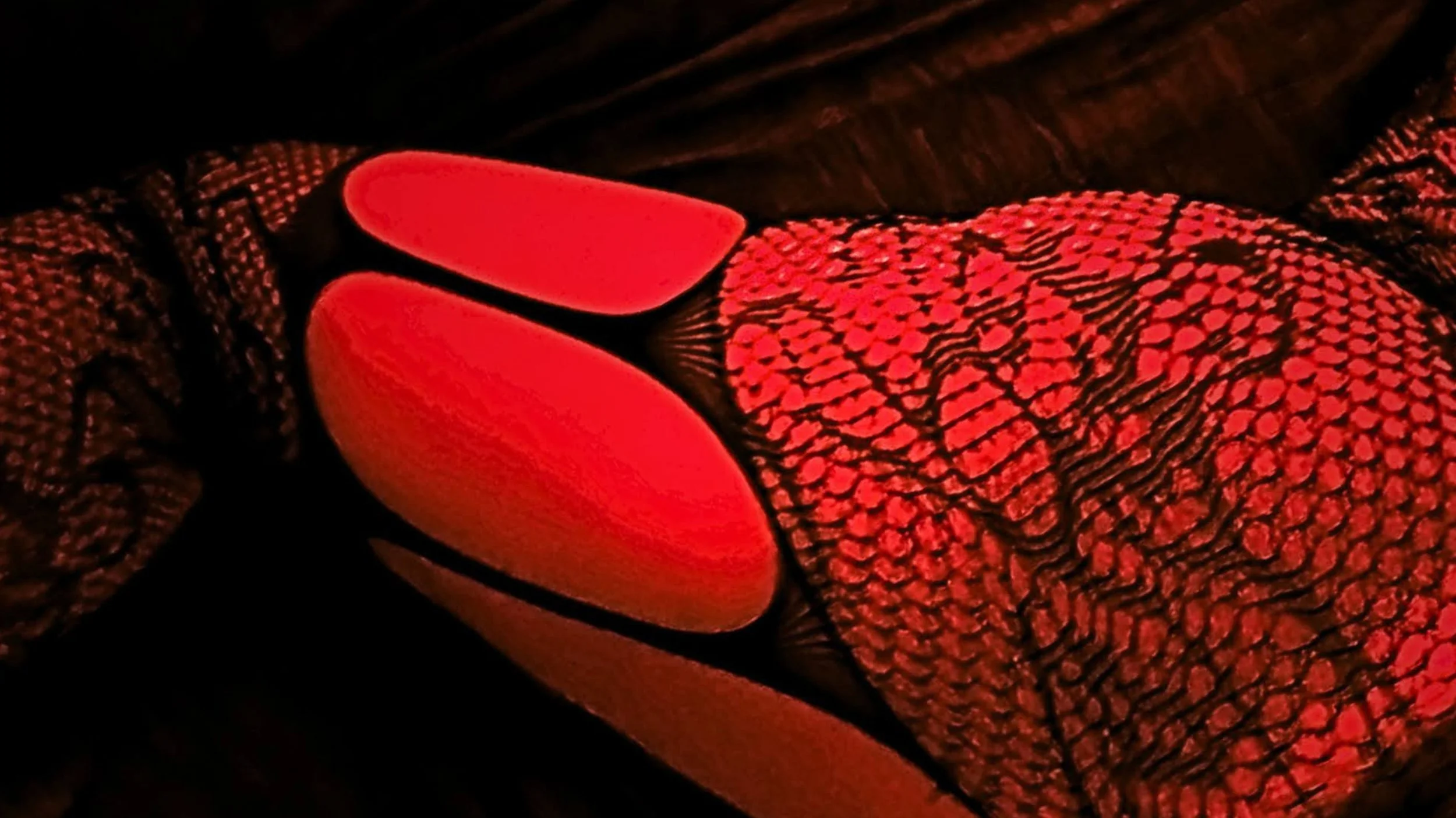 16x9 Red Lace Flipped.jpg