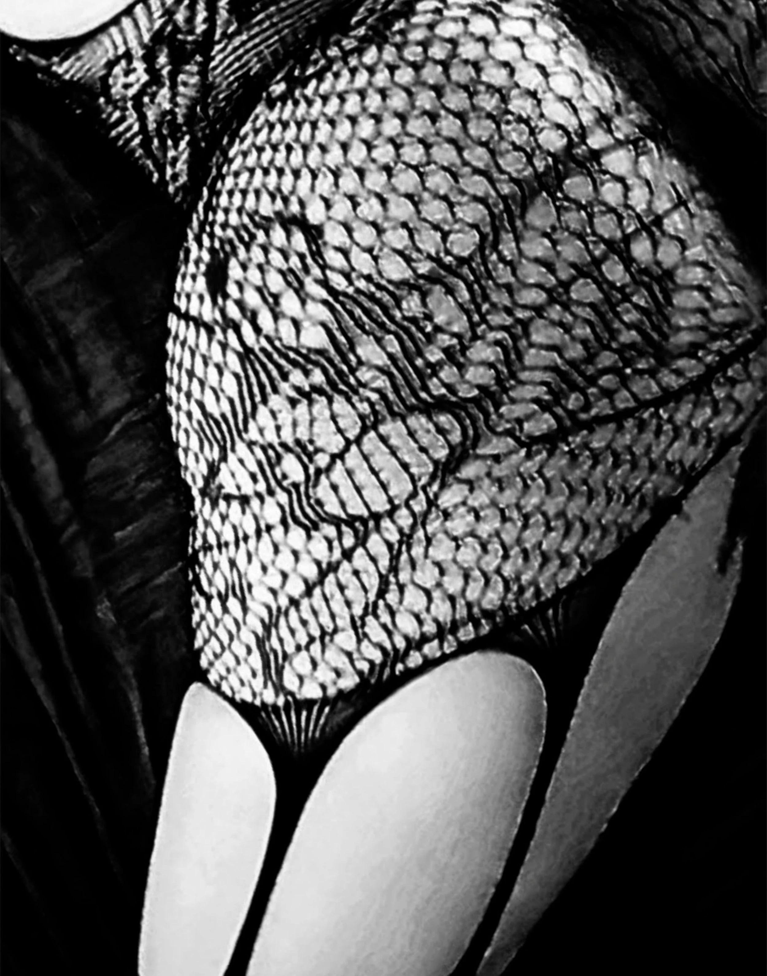 11x14 Black and White Lace Flipped.jpg