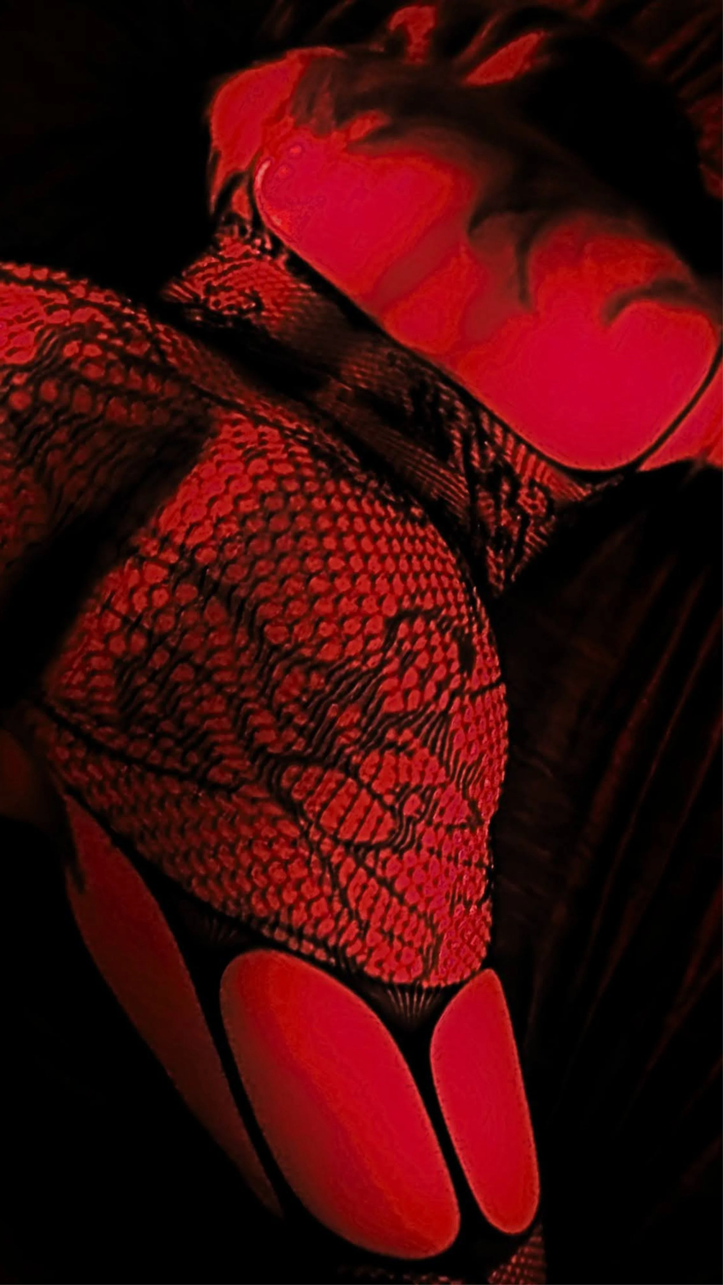 9x16 Red Lace.jpg