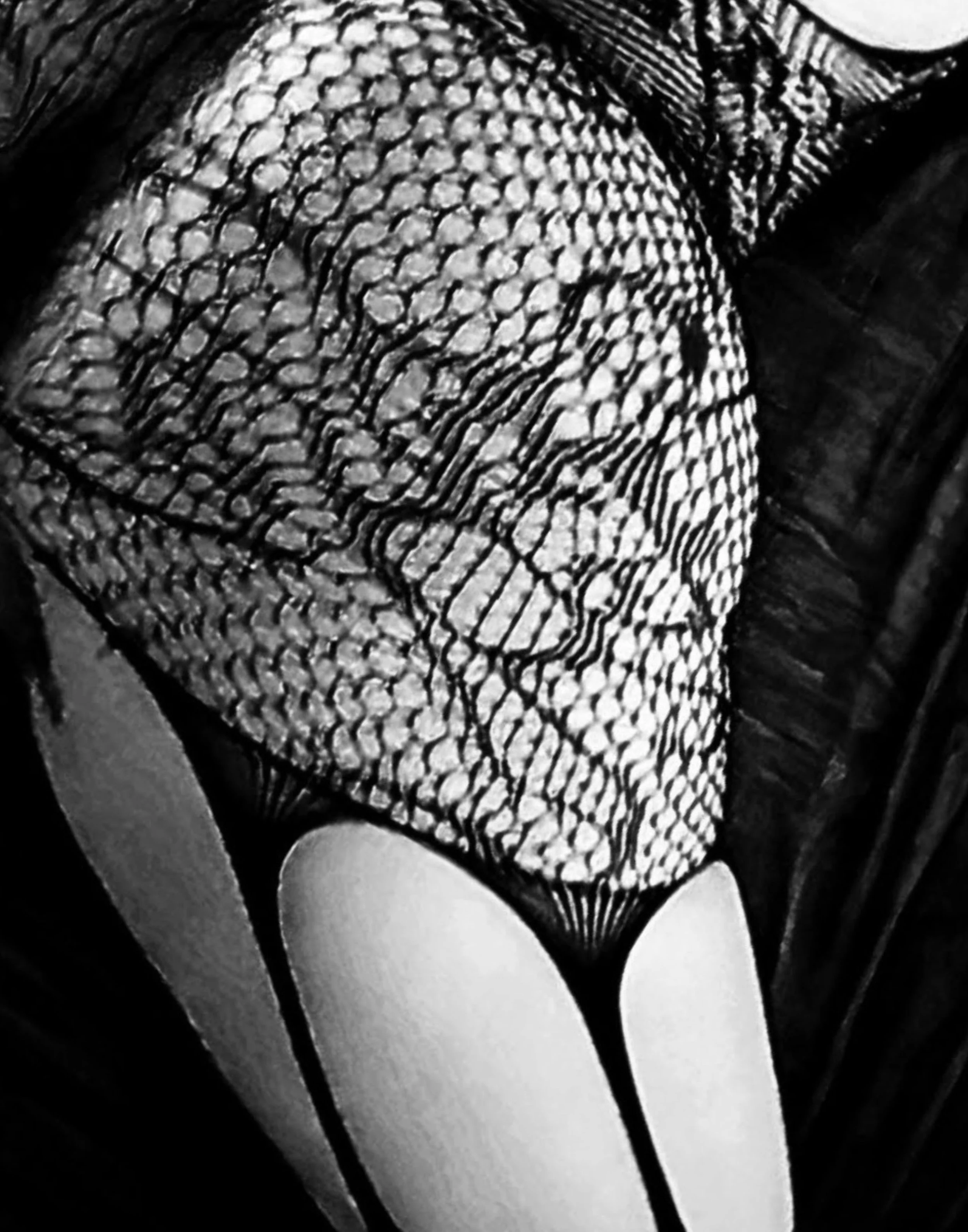 11x14 Black and White Lace.jpg