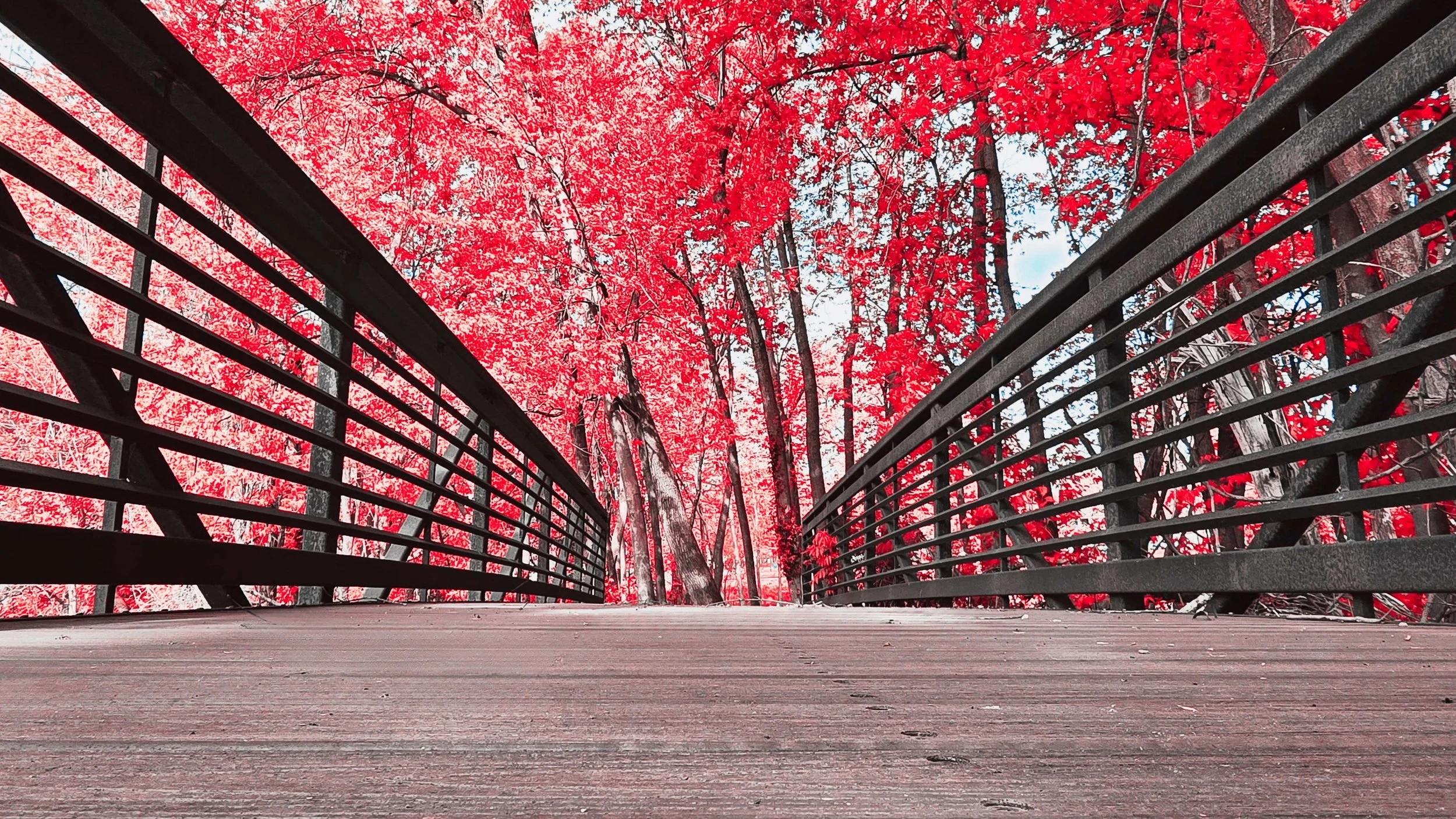 16x9 Pink Bridge 1.jpg
