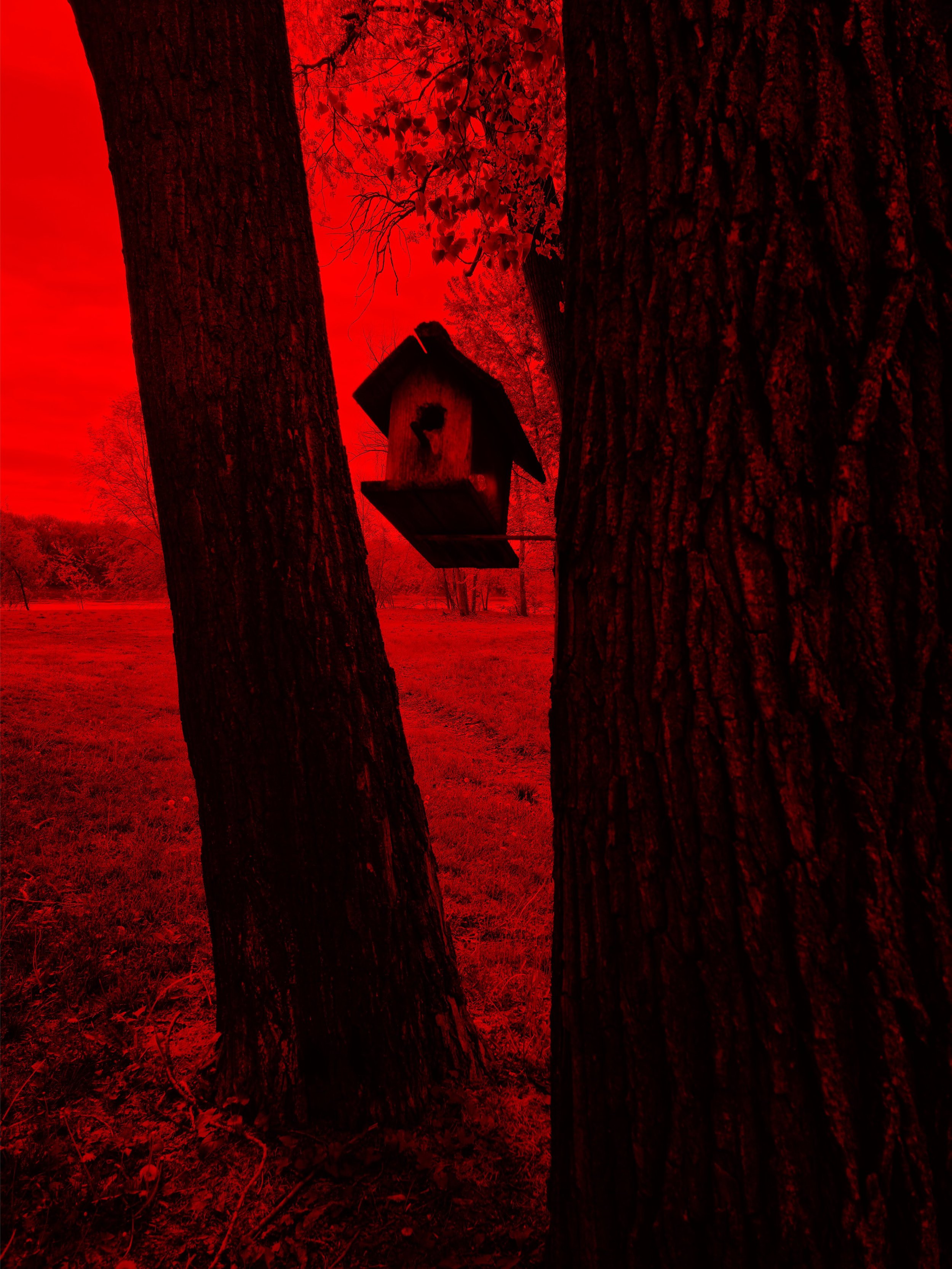 14x11 St. Charles Red 4.jpg