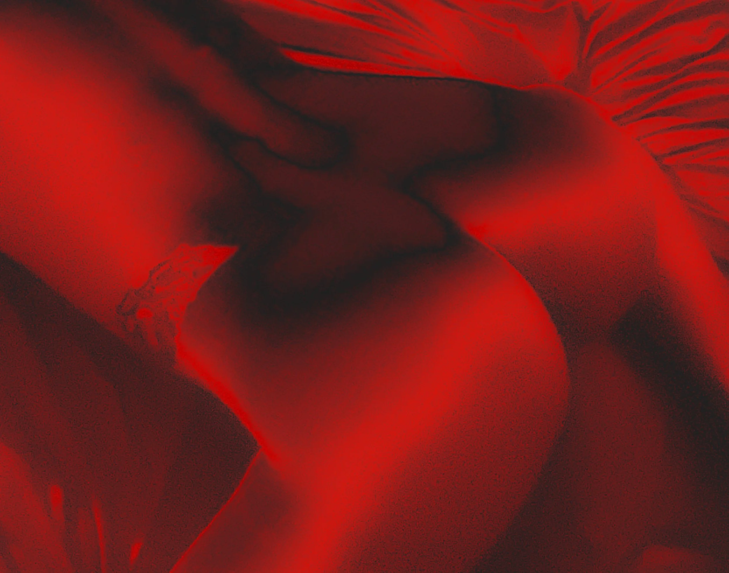 14x11 Red Nude.jpg