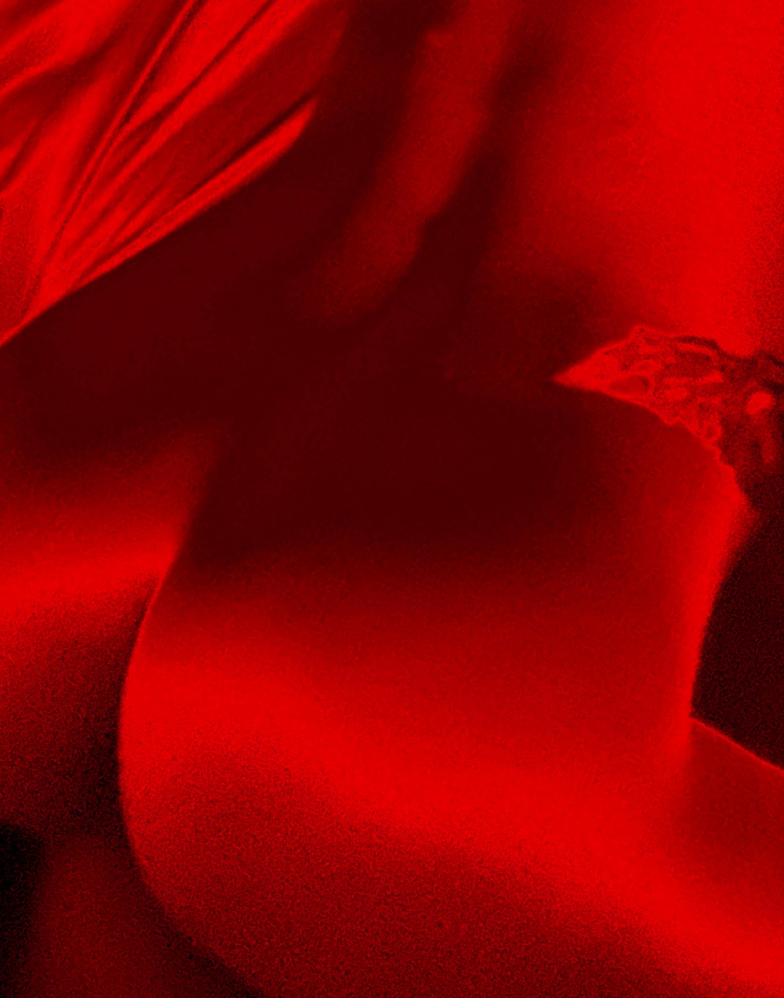 11x14 Red Nude Flipped.jpg