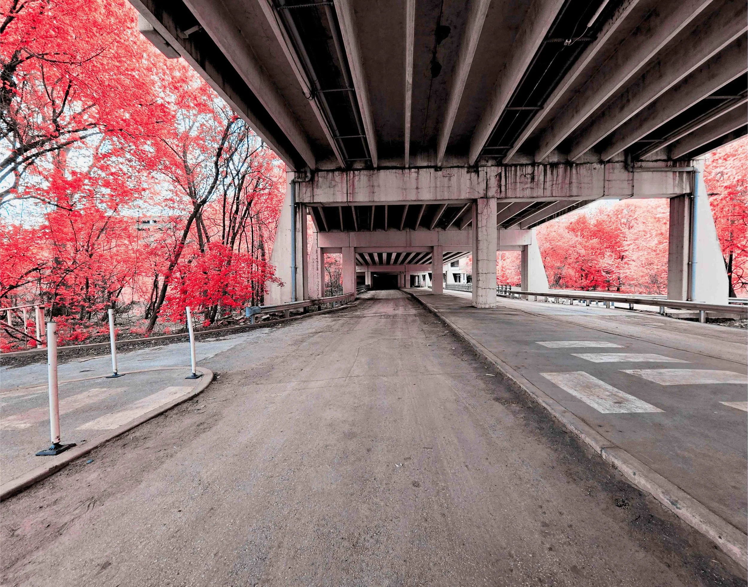 Overpass Pink 14x11.jpg