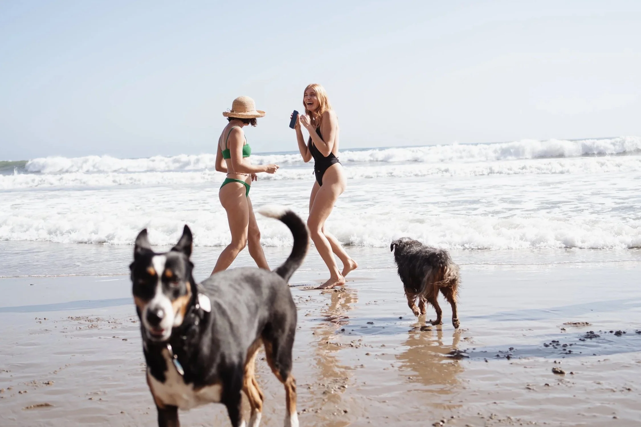 Two women in swimsuits laughing and talking on the beach near the ocean, with three dogs in the foreground.