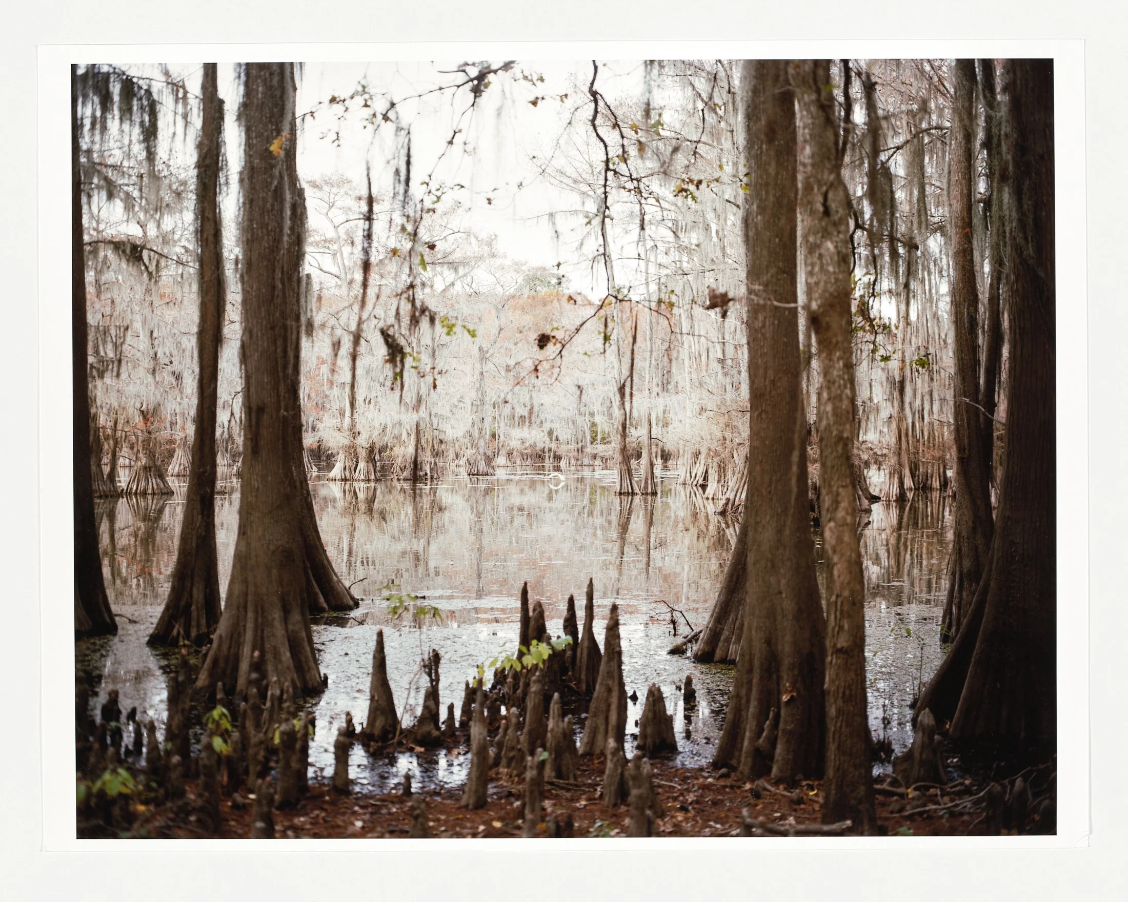 Far East Texas