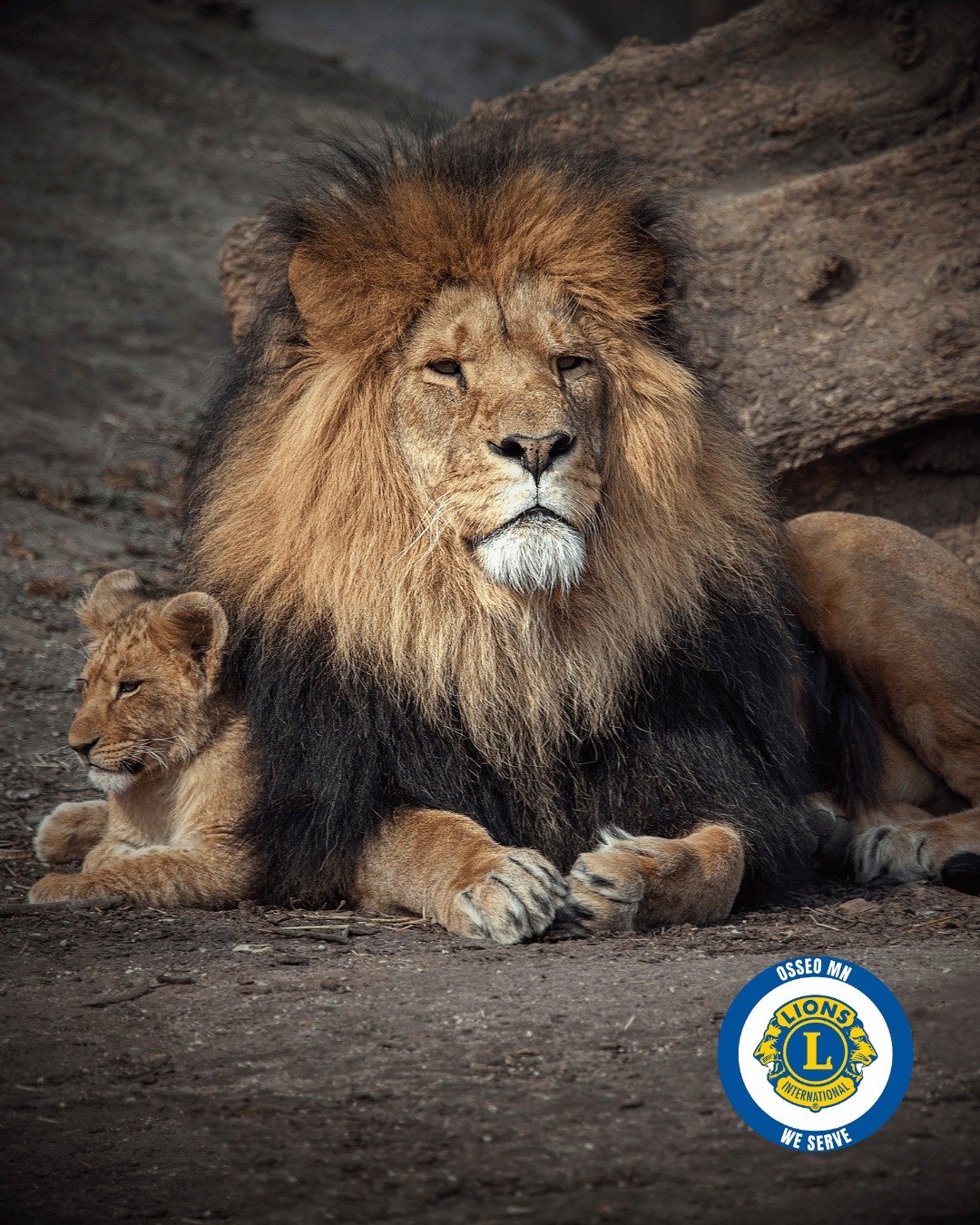 🦁 BECAUSE YOU SERVE &mdash; 

- Your family
- Your faith
- Your business/job
- Your community

And, because you're doing everything you can to raise the next generation of community leaders...

...you deserve (at least) one concern-free day of relax