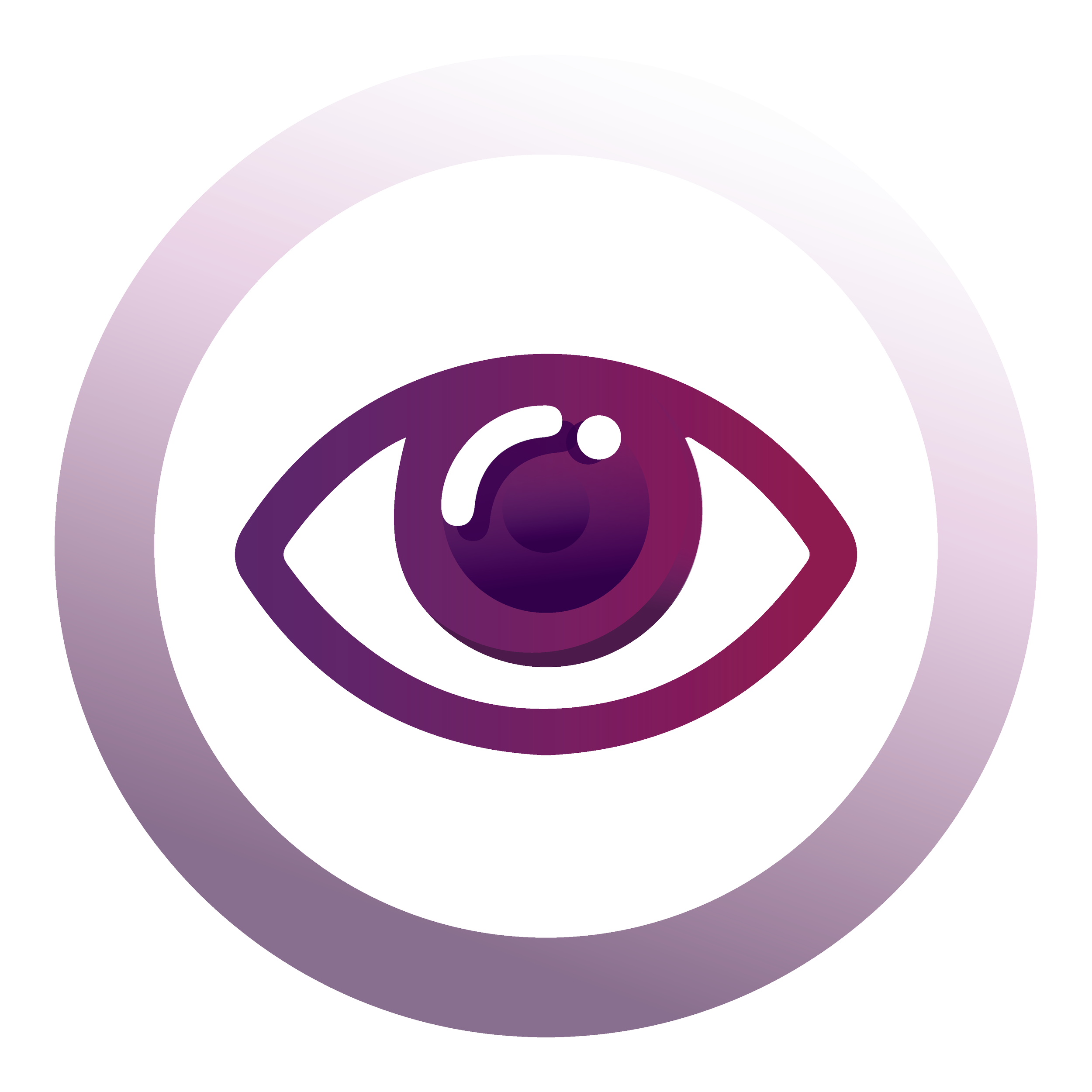 Vision