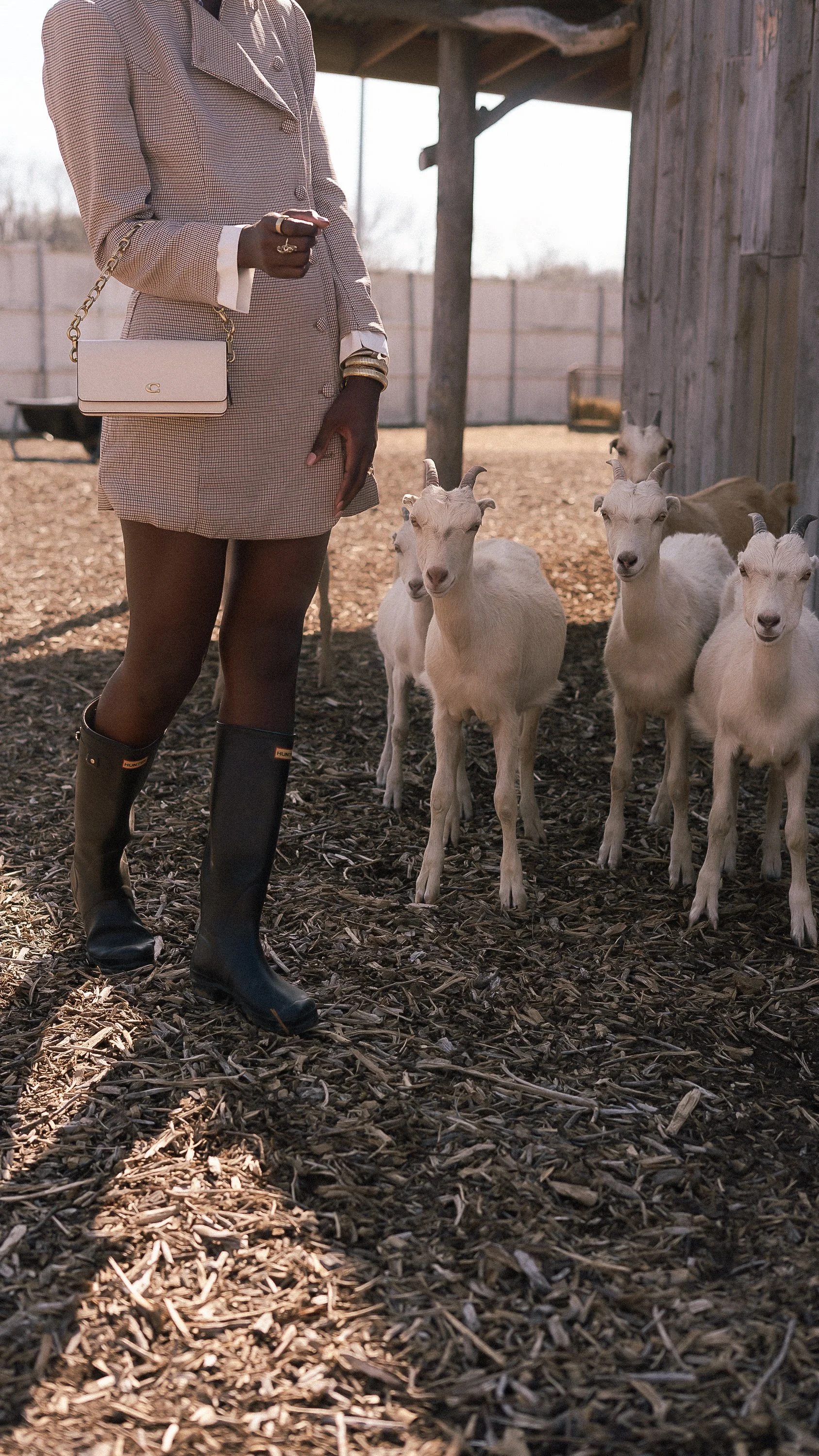 Photo Feb 28 2026, 2 56 12 PM.jpg