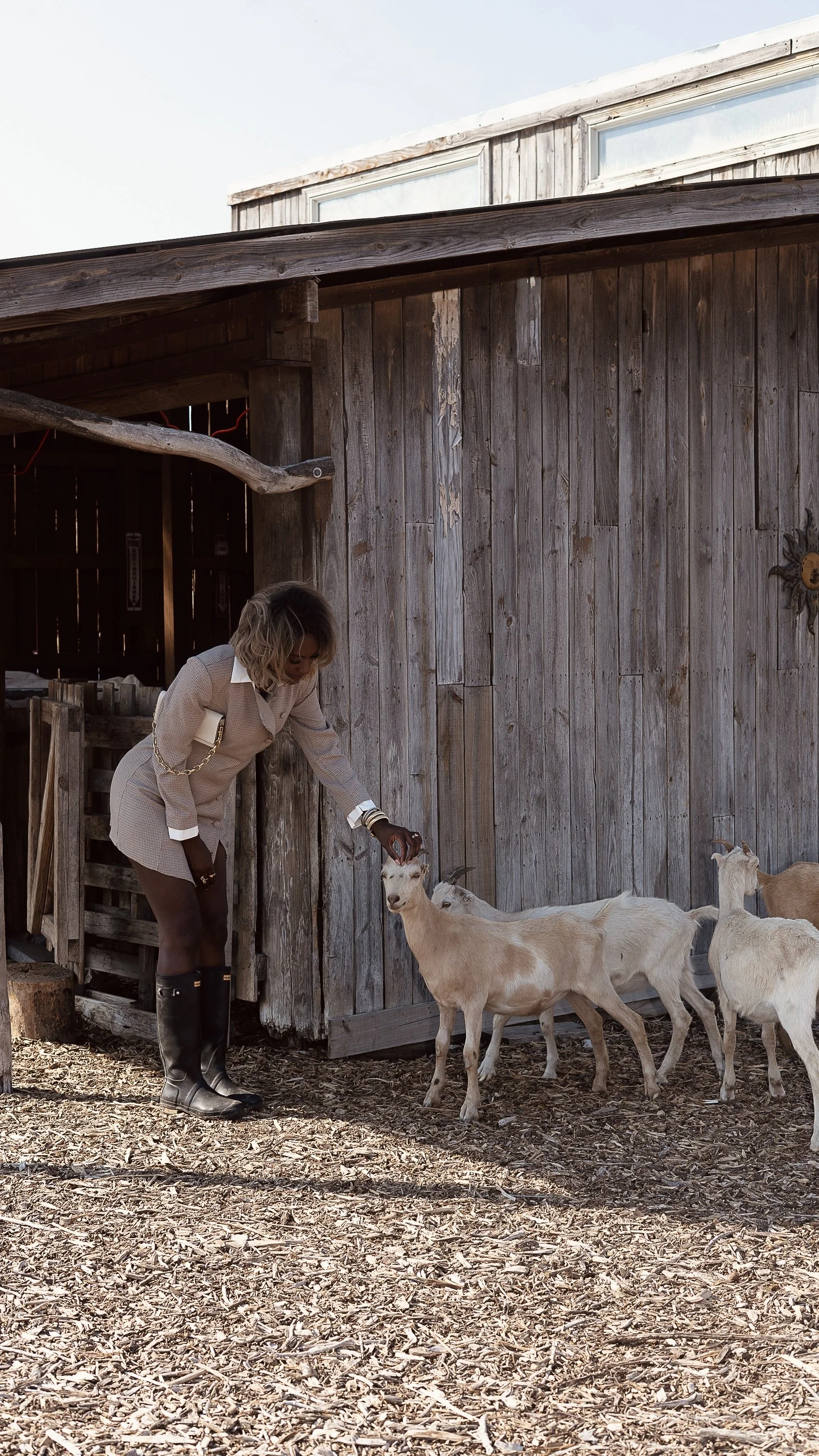 Photo Feb 28 2026, 2 54 31 PM (1).jpg