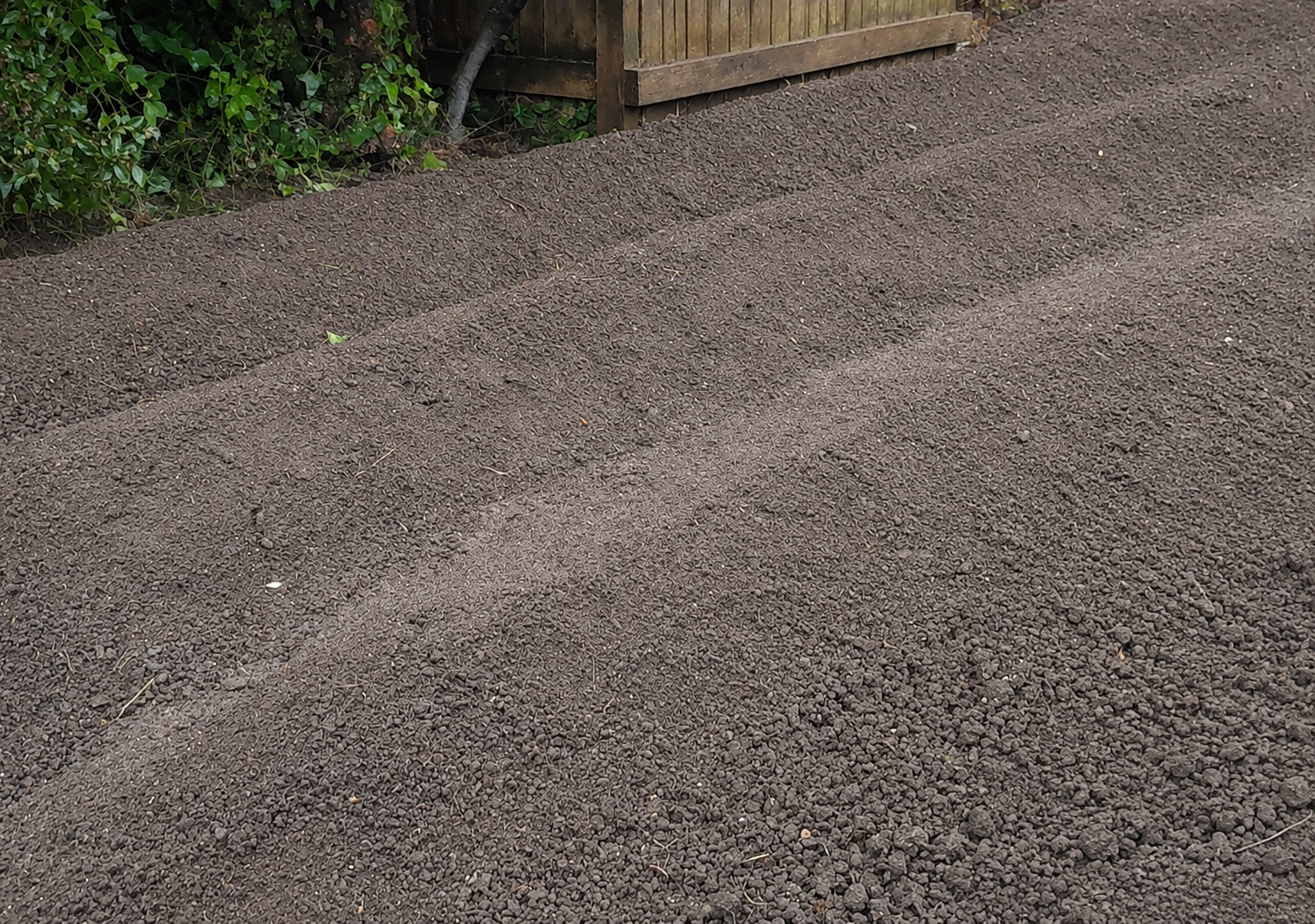 Broad slightly raised garden bed prepared for growing kūmara