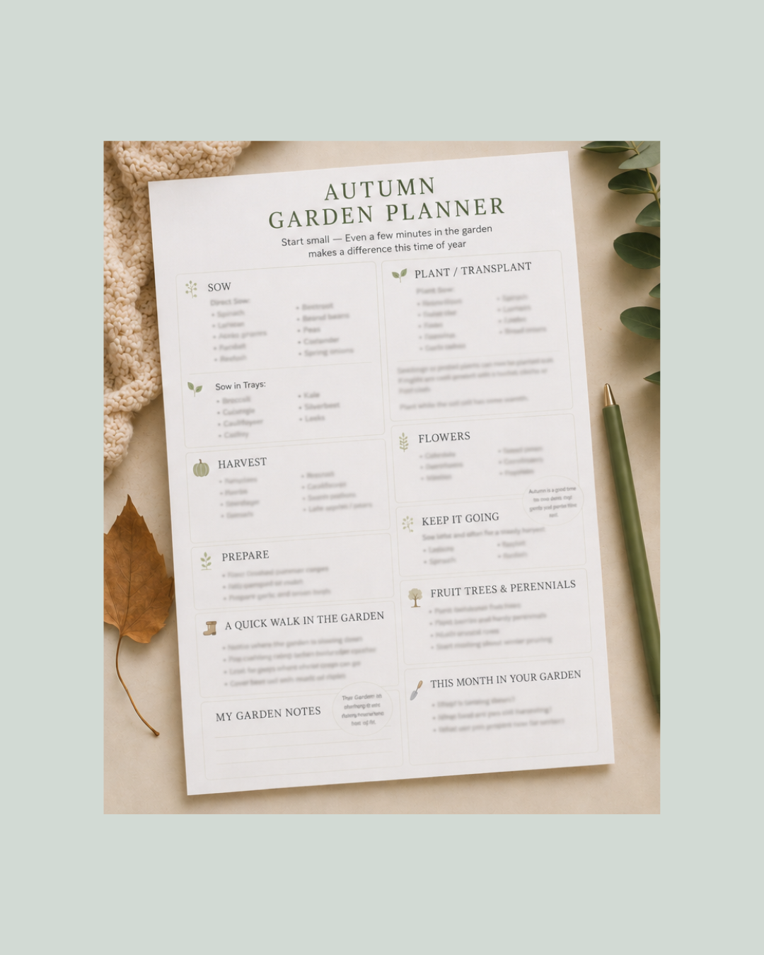 Autumn Garden Planner – What to Sow, Plant & Harvest