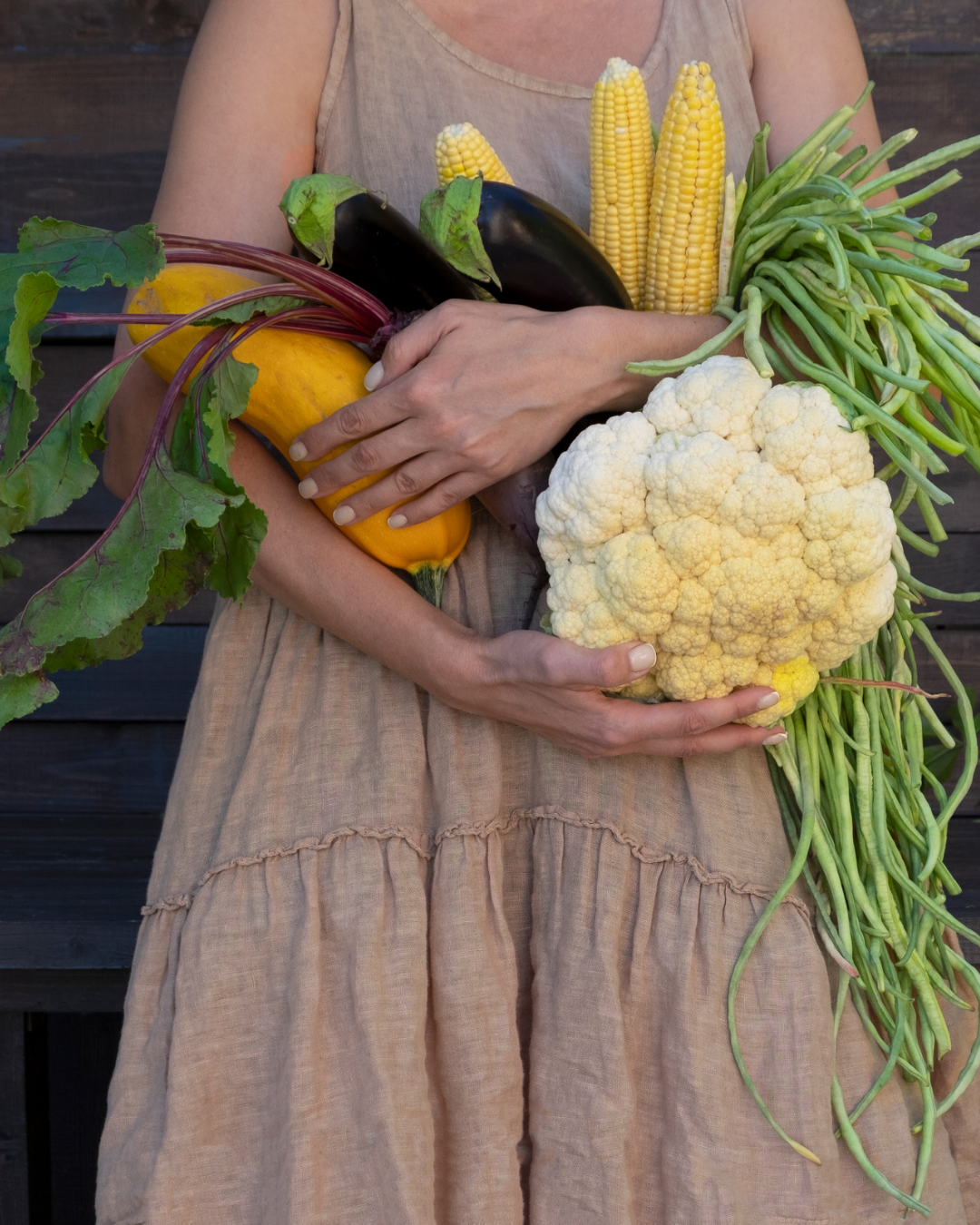 Person holding a harvest of homegrown vegetables including cauliflower, beans, corn, beetroot and squash.