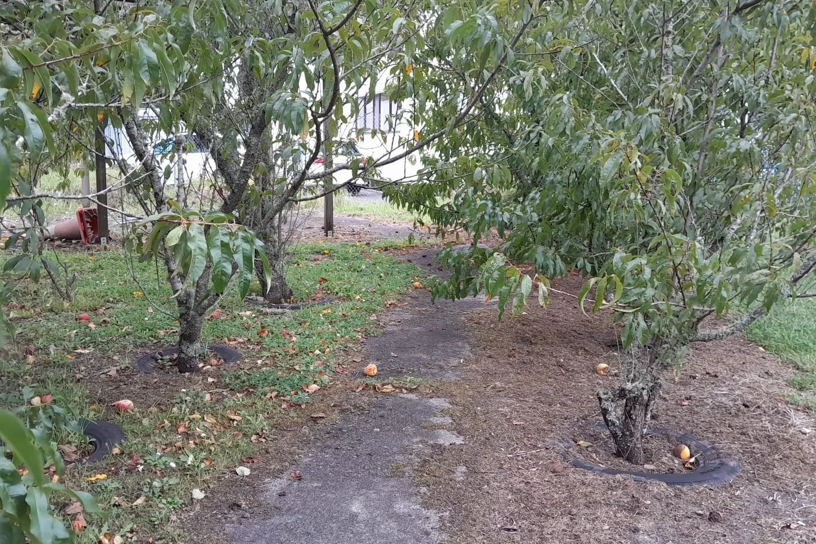 IMG-20260216-WA0012+%281%29.jpg