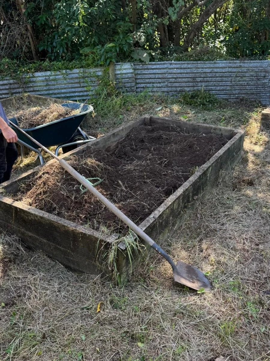 A lot of the work so far has involved clearing, composting, rebuilding beds and preparing the space for future planting.