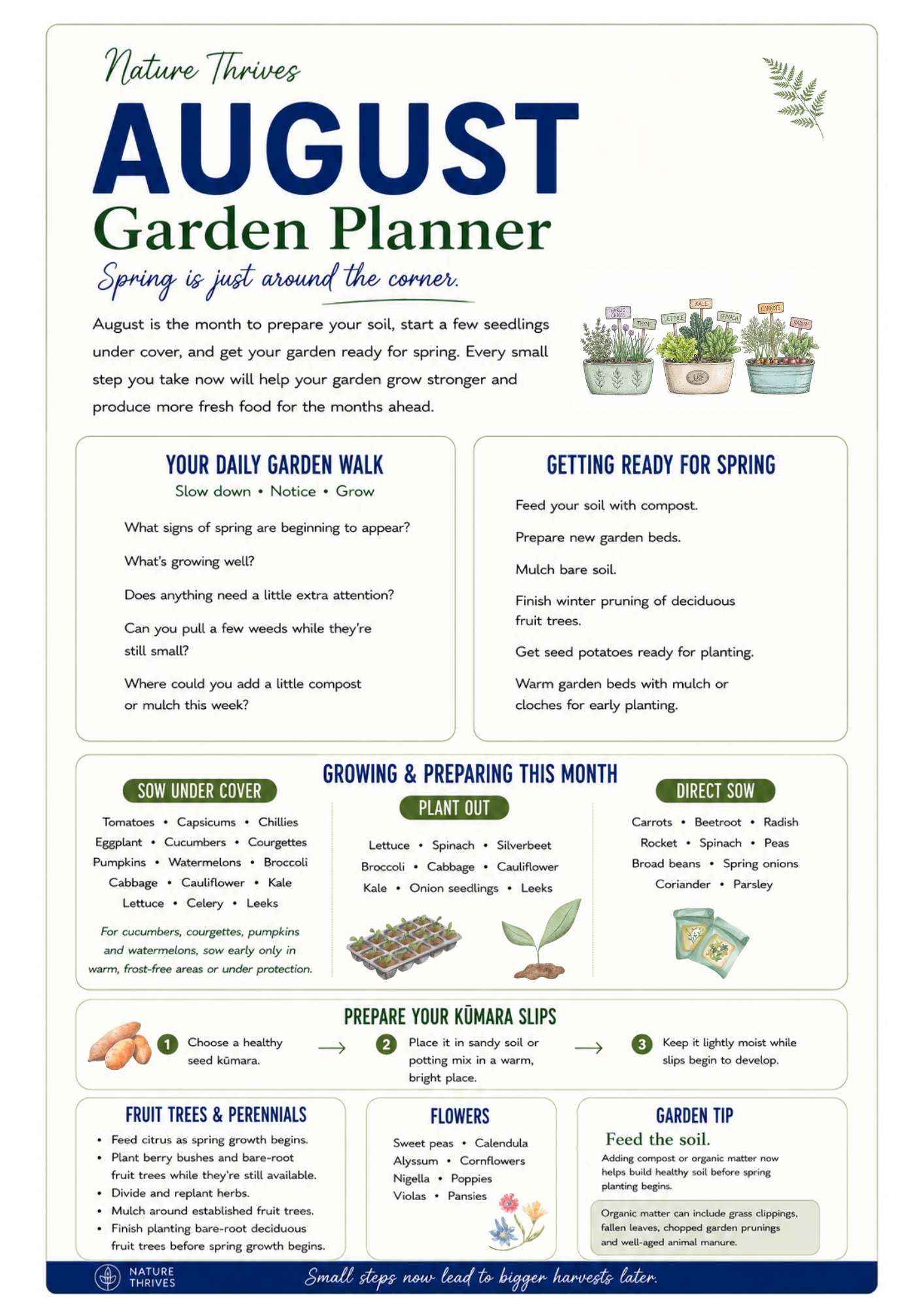 August Garden Planner for New Zealand gardeners with seasonal sowing, planting and garden tasks