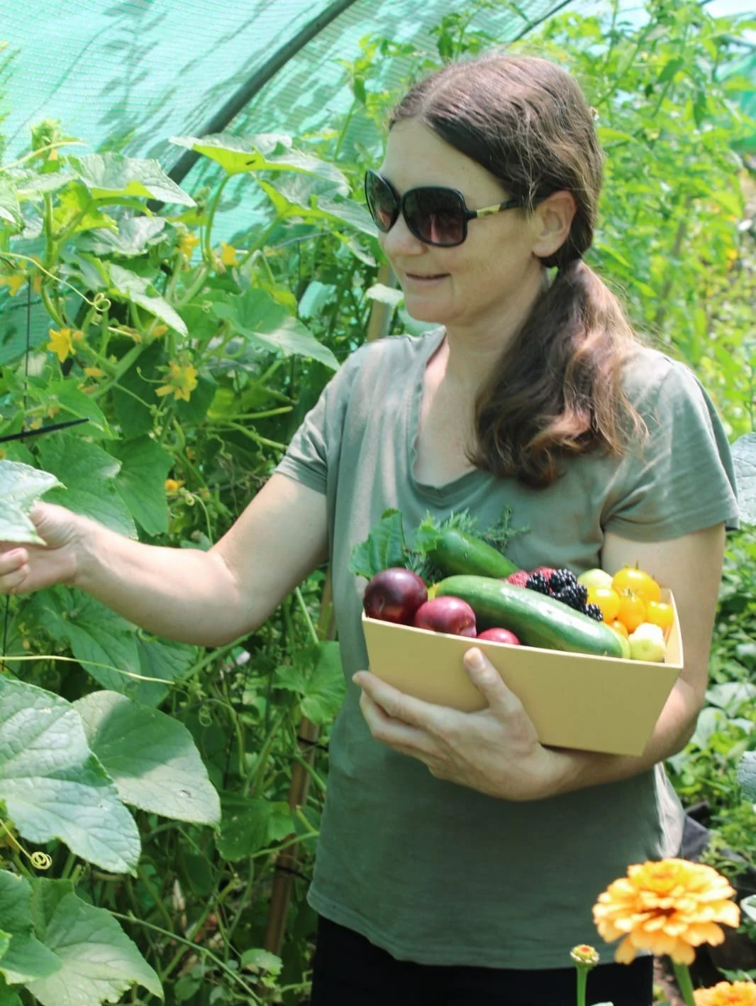 Kelly from Nature Thrives harvesting fresh vegetables in a lush home food forest garden