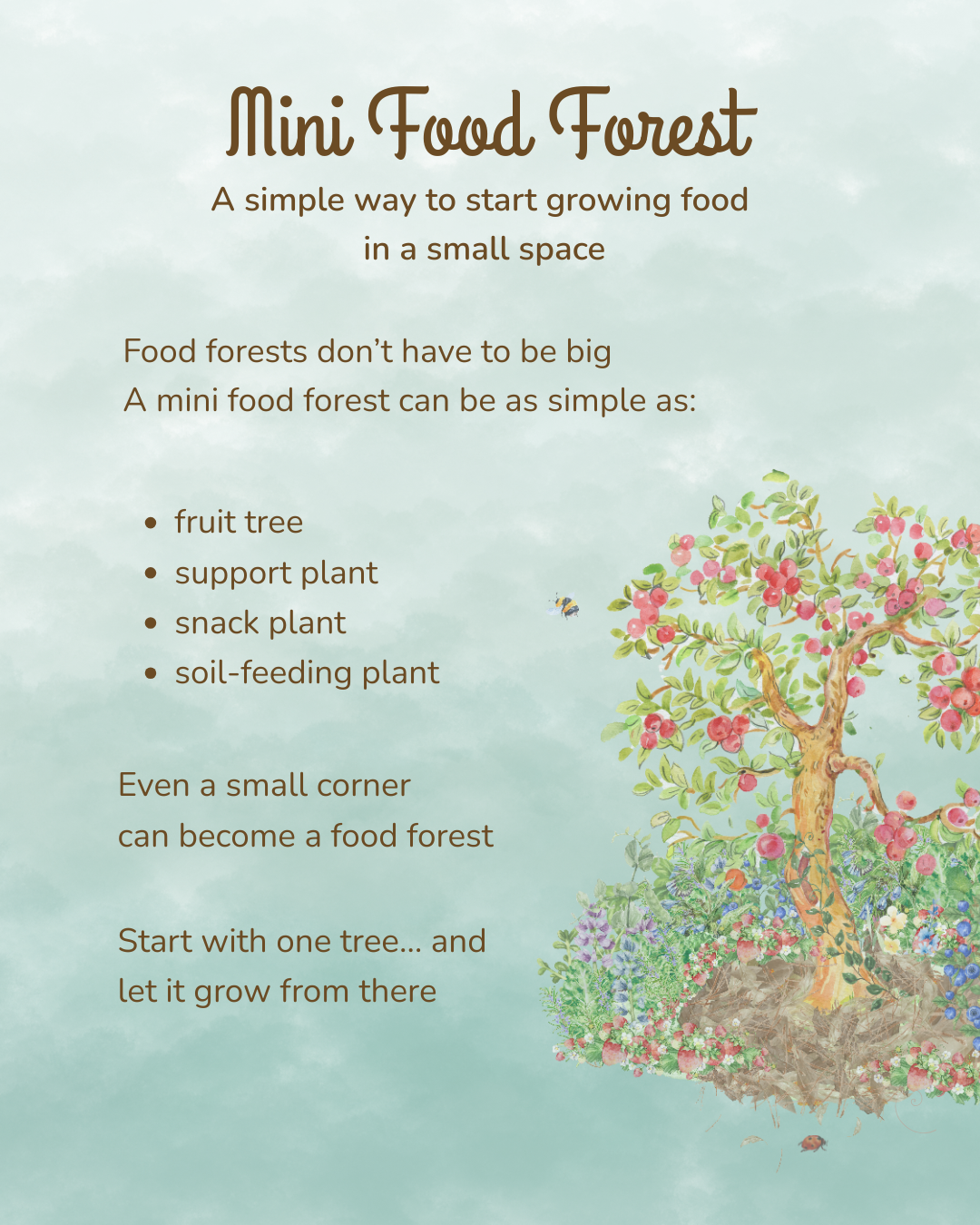Illustrated watercolor chart detailing the layers of a backyard mini food forest starter guide.