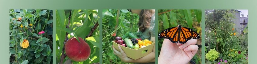 A vibrant banner for the Nature Thrives shop showing a collection of garden images including fresh peaches, harvested vegetables, and a monarch butterfly resting on a hand