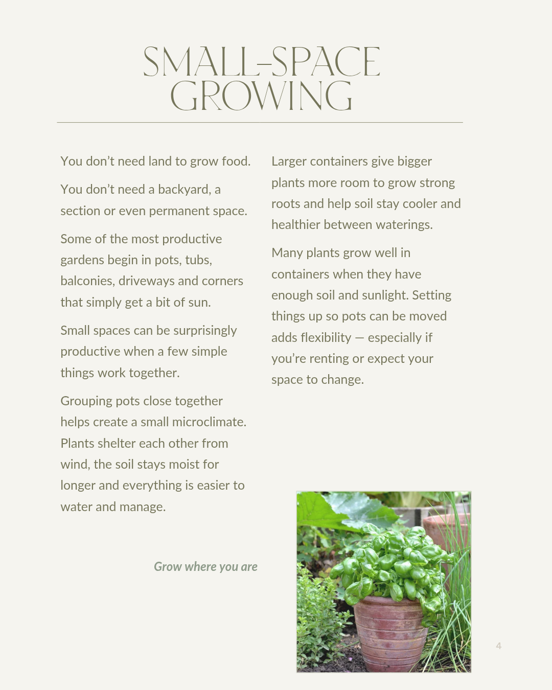 Growing with Nature (Instagram Post (4_5))_20260521_010748_0003.png