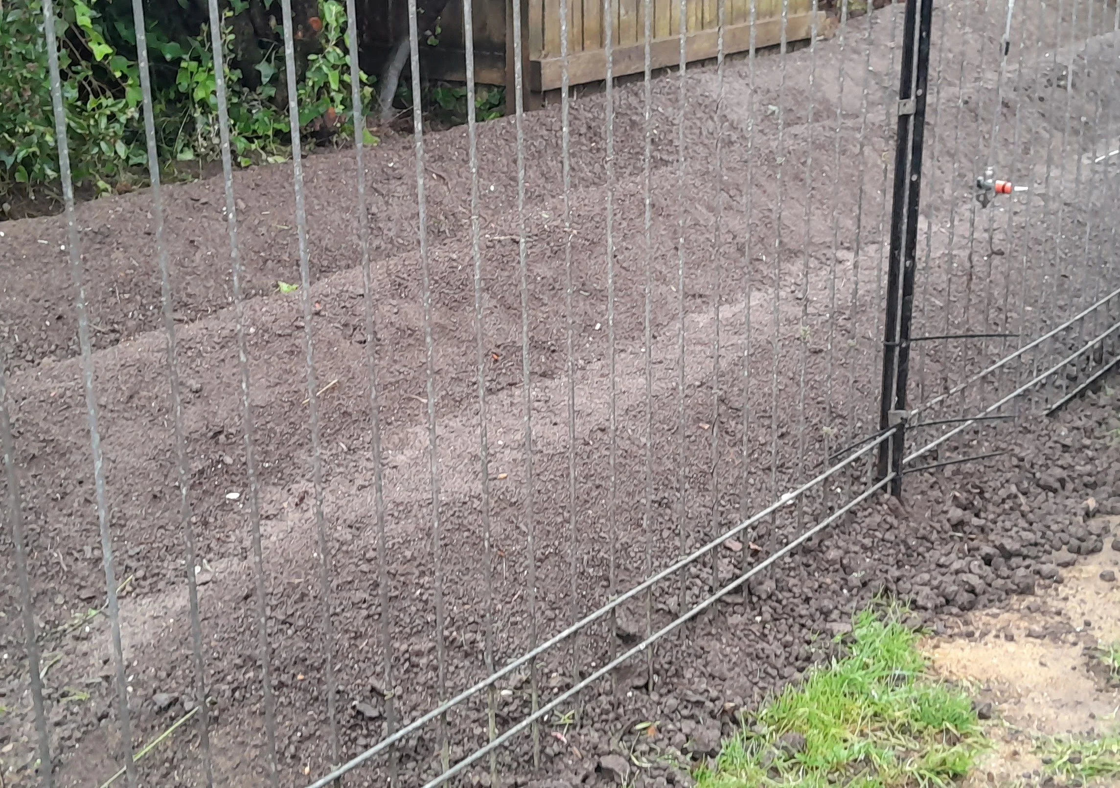 Long prepared kūmara bed built over compacted ground