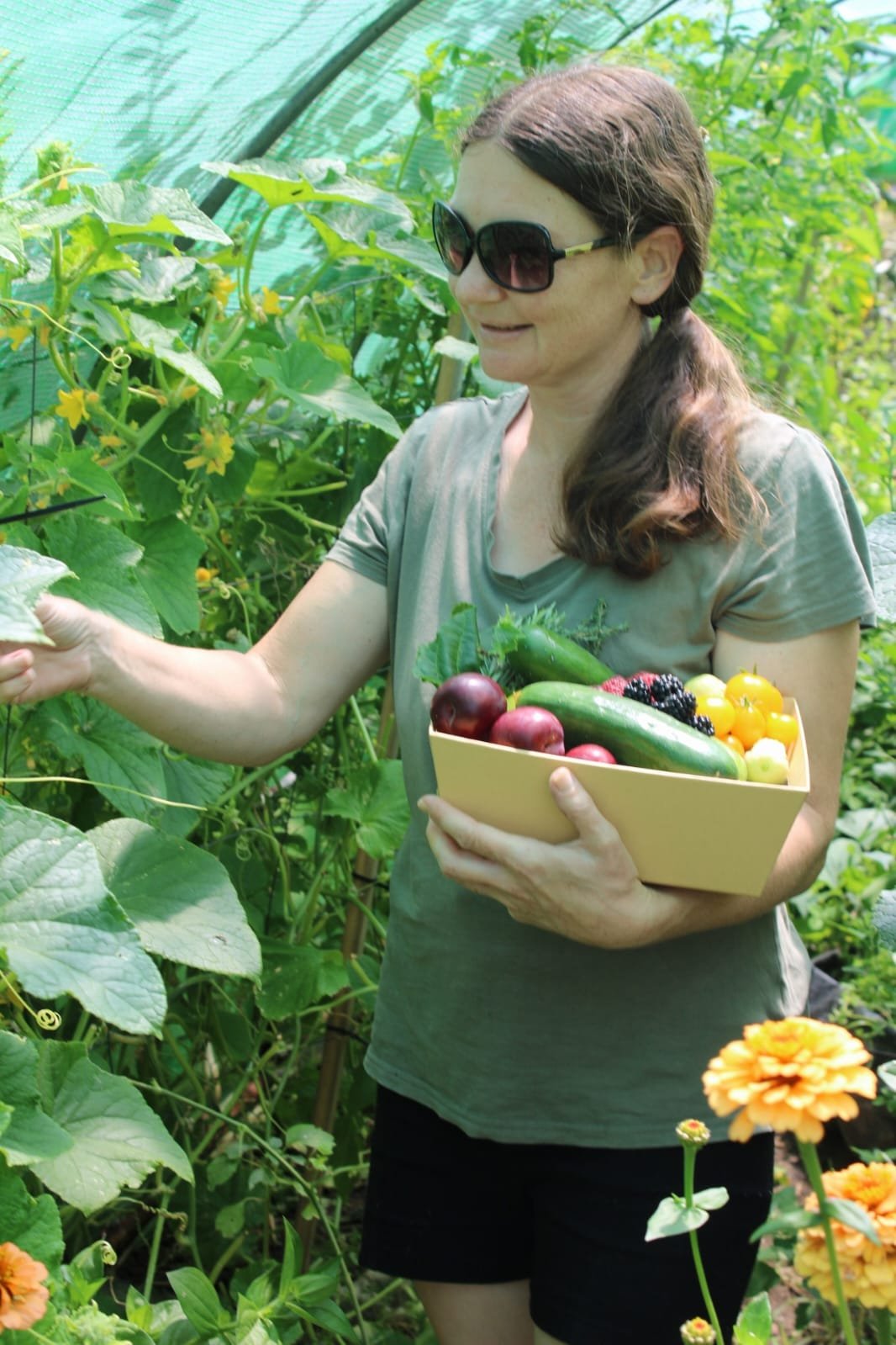 Kelly from Nature Thrives in a productive edible garden, helping people create edible gardens and food forests throughout the Waikato.