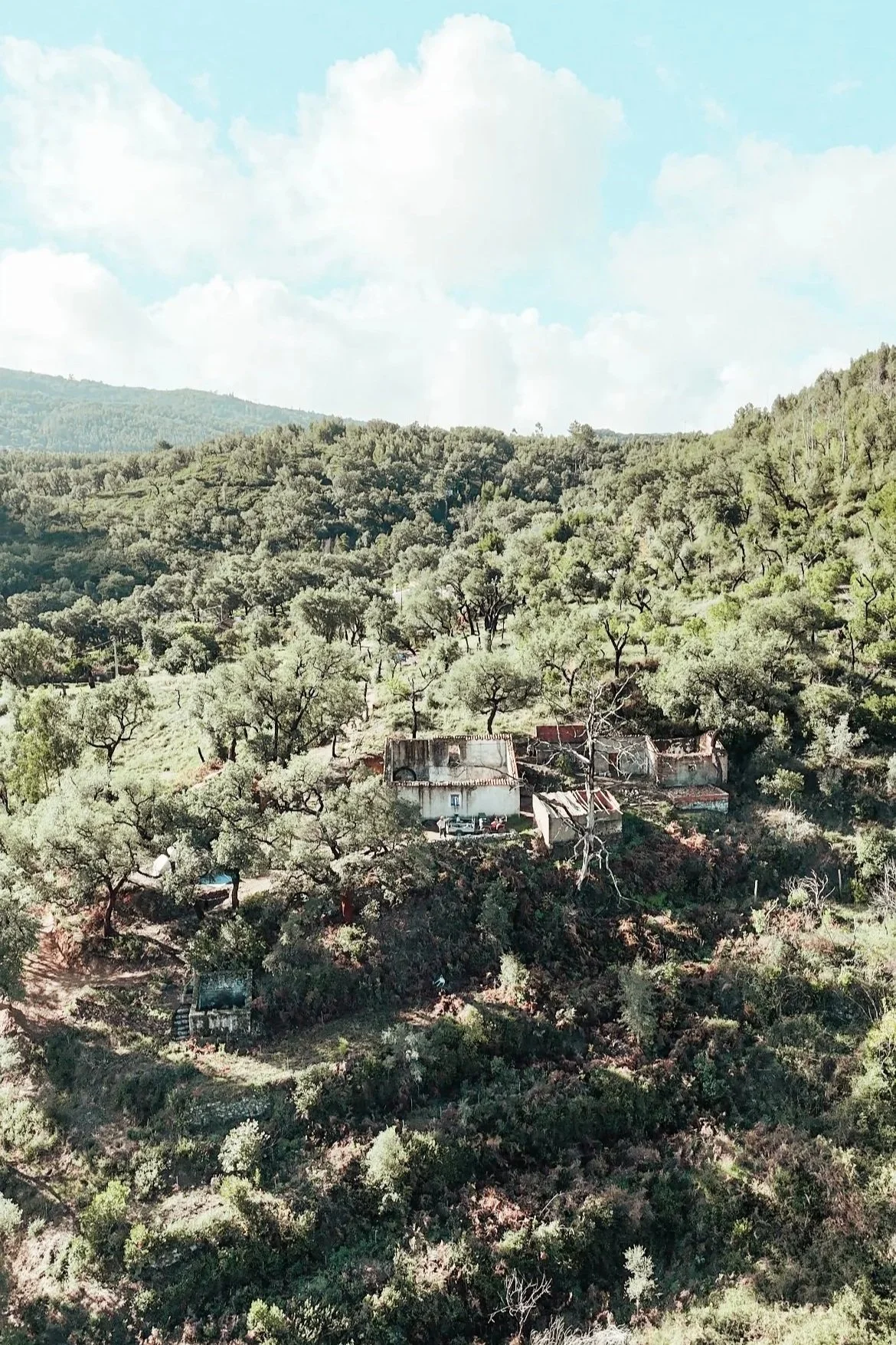 Houses situated on a hillside surrounded by trees and greenery under a partly cloudy sky.
