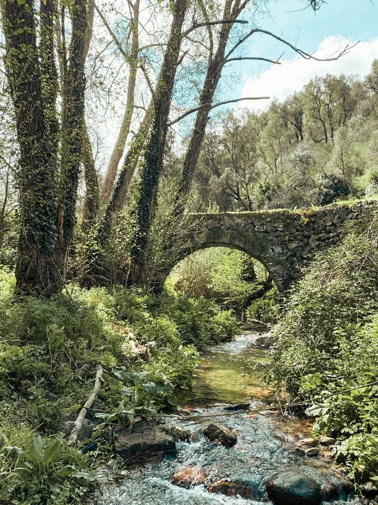 A stone bridge over a small creek in a lush green forest on a sunny day.