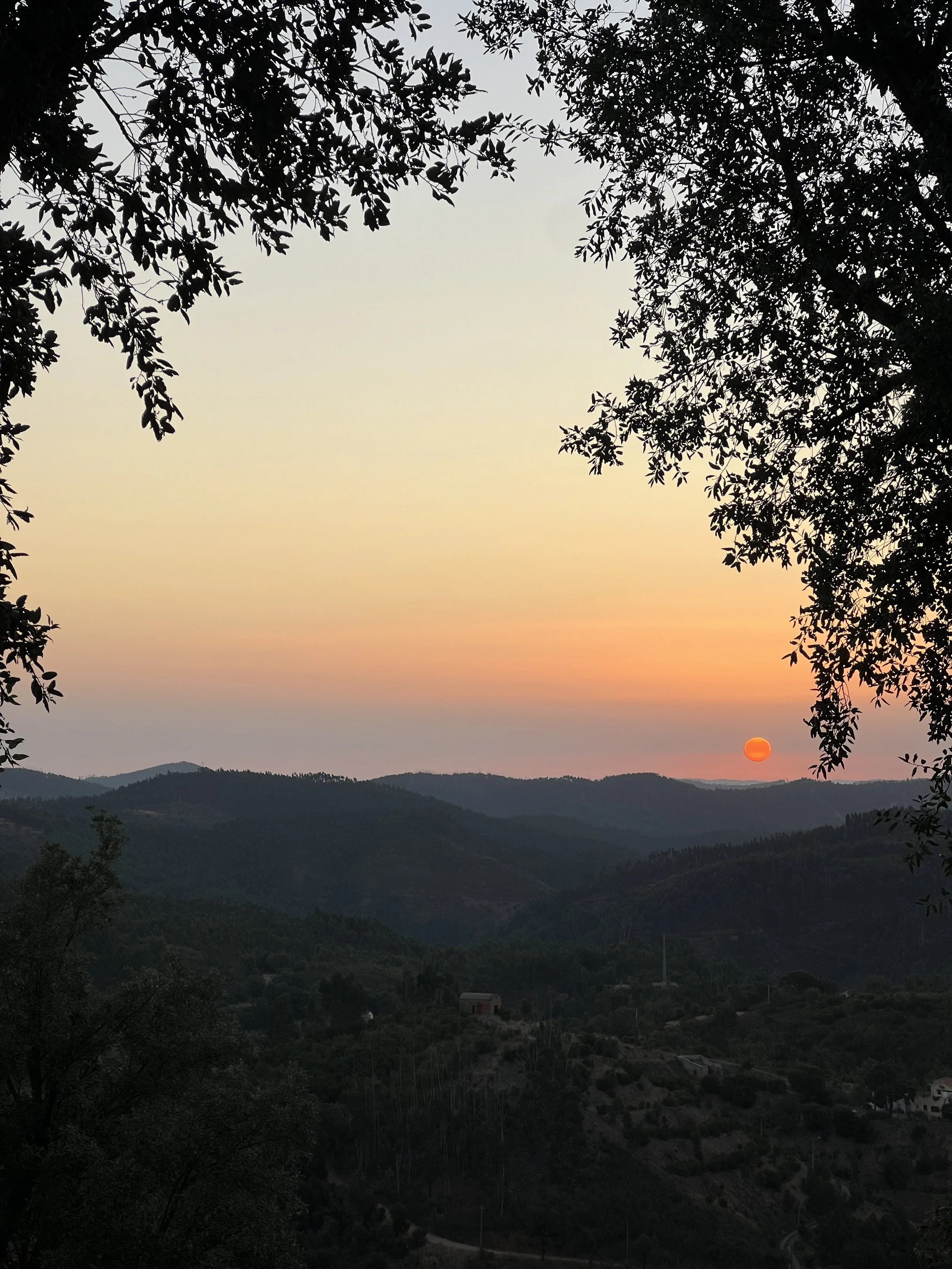 Sun setting over hilly landscape with silhouettes of trees in the foreground and distant mountains.