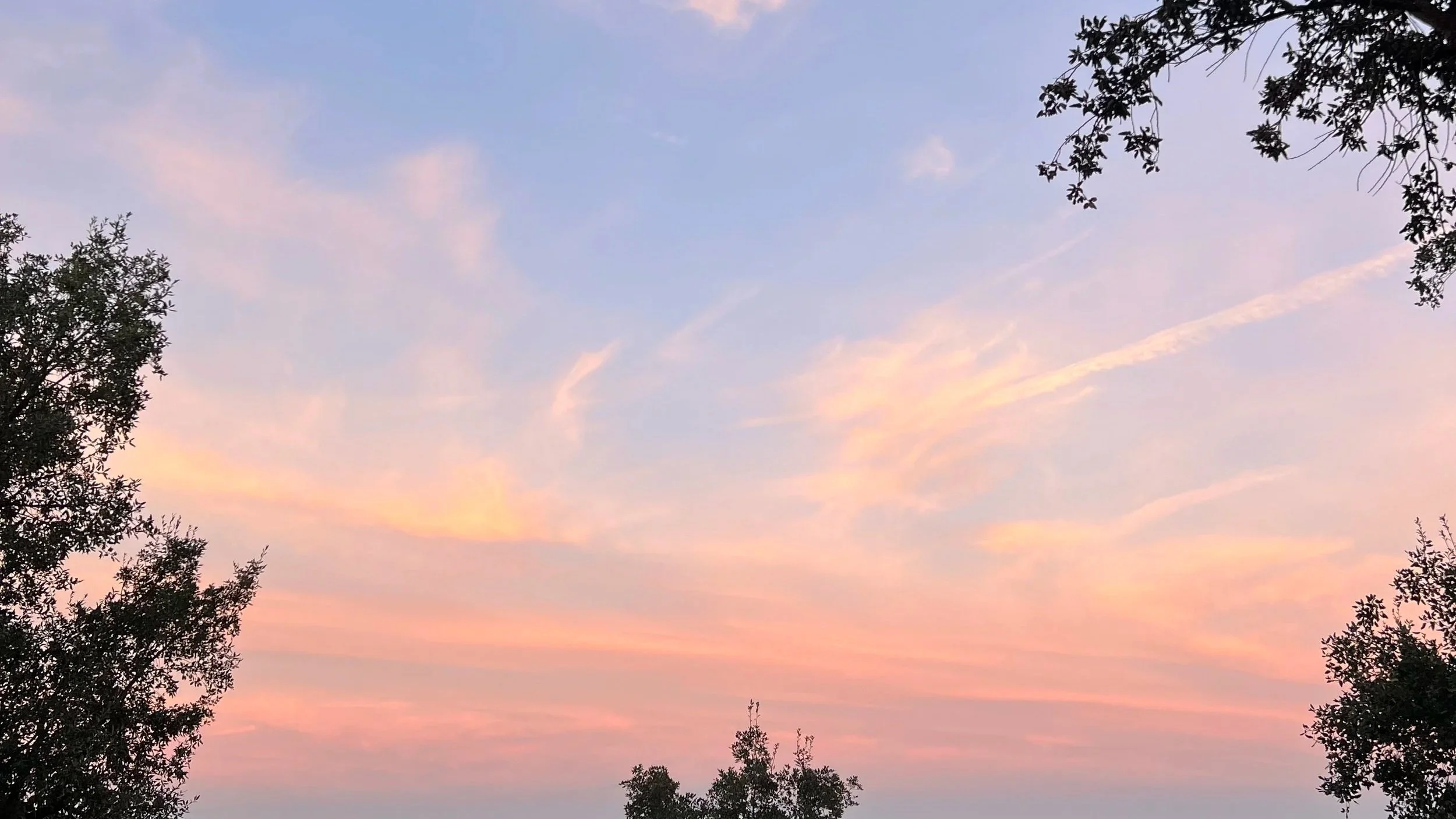 A clear sky during sunset or sunrise with soft pastel colors, framed by silhouettes of trees on the left and right sides.