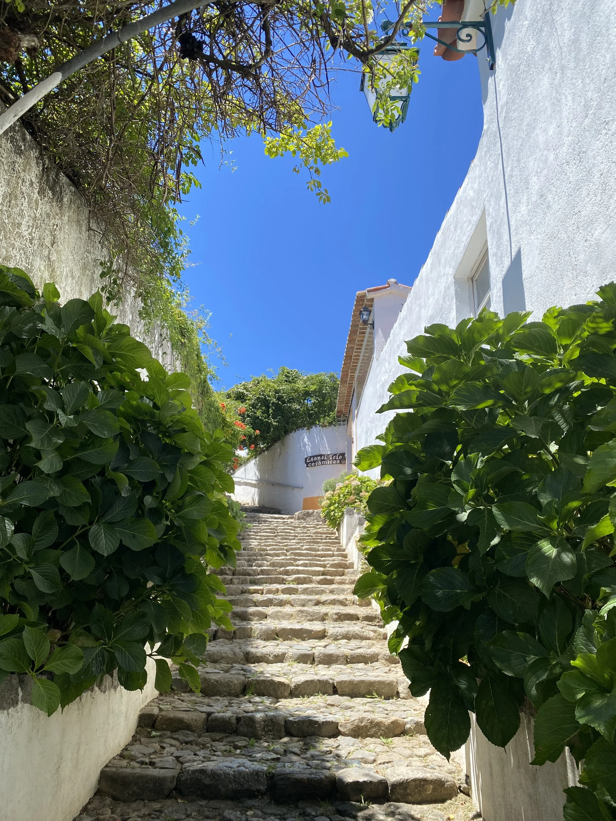 Stone steps ascending between white walls, surrounded by lush green foliage, leading upward towards a building and a clear blue sky.