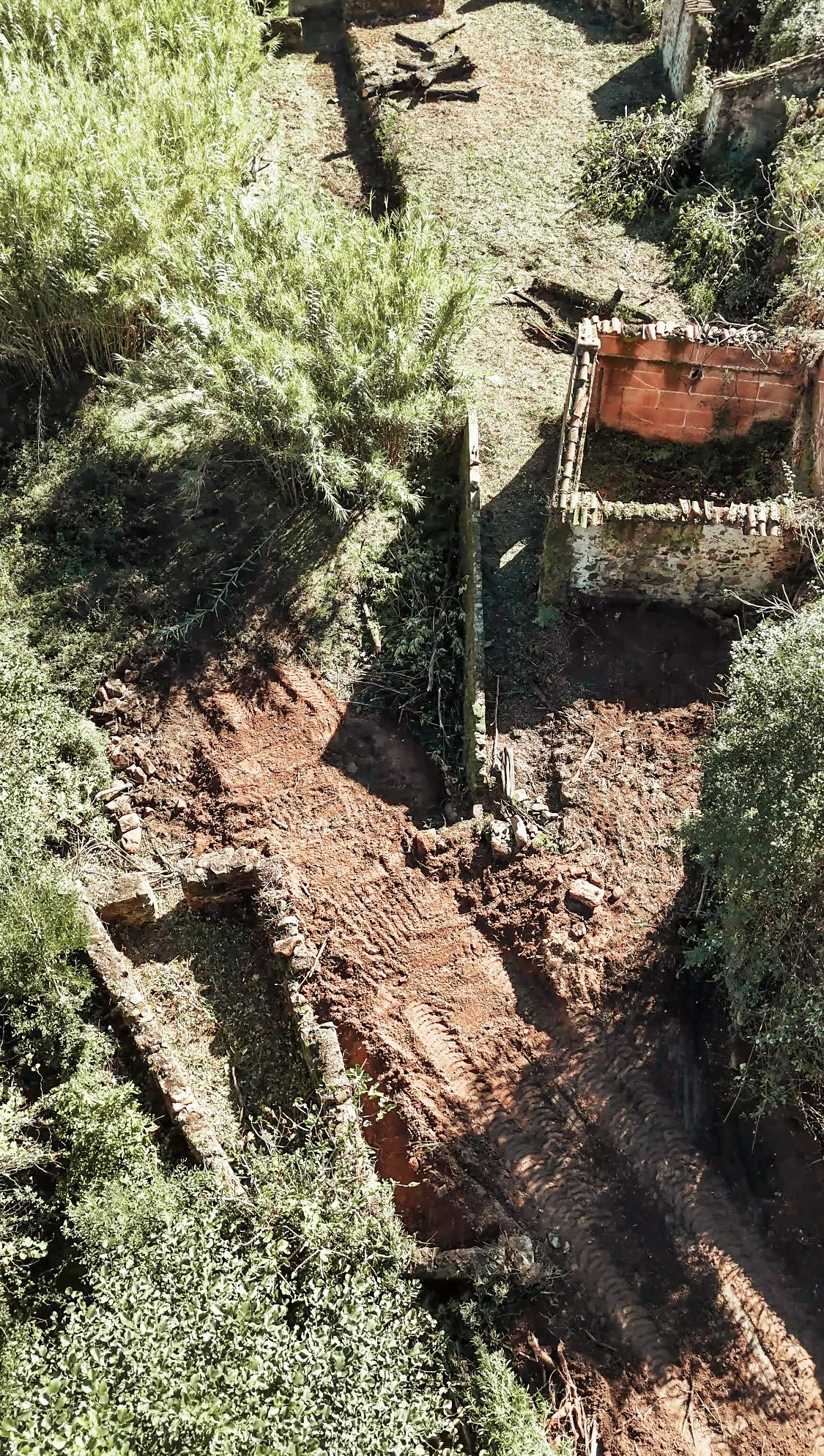 An aerial view of a garden where a trench has been dug, revealing soil and tire tracks. Overgrown plants and trees surround the area, and parts of a broken brick wall and fallen trees are visible.