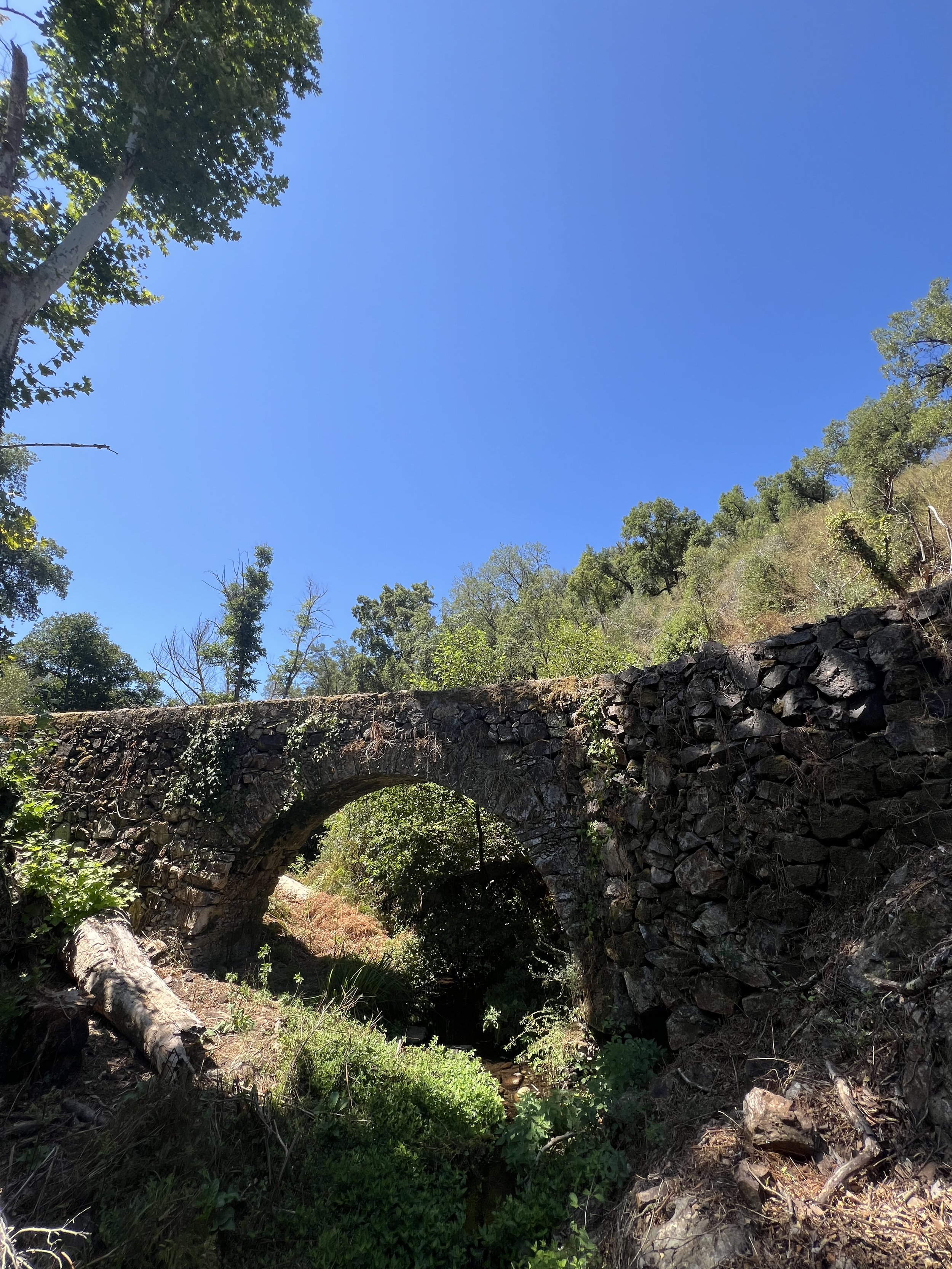 IMG_2342.jpeg