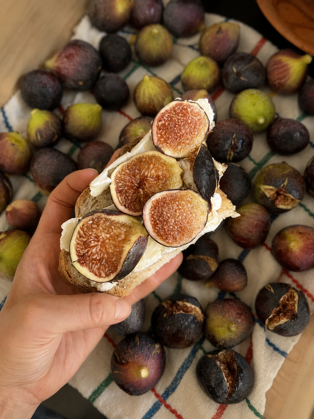 A hand holding a slice of bread with cream cheese, fresh figs, and fig preserves on top. A cloth with a pattern of red, green, and blue stripes covers a surface with more figs scattered around.