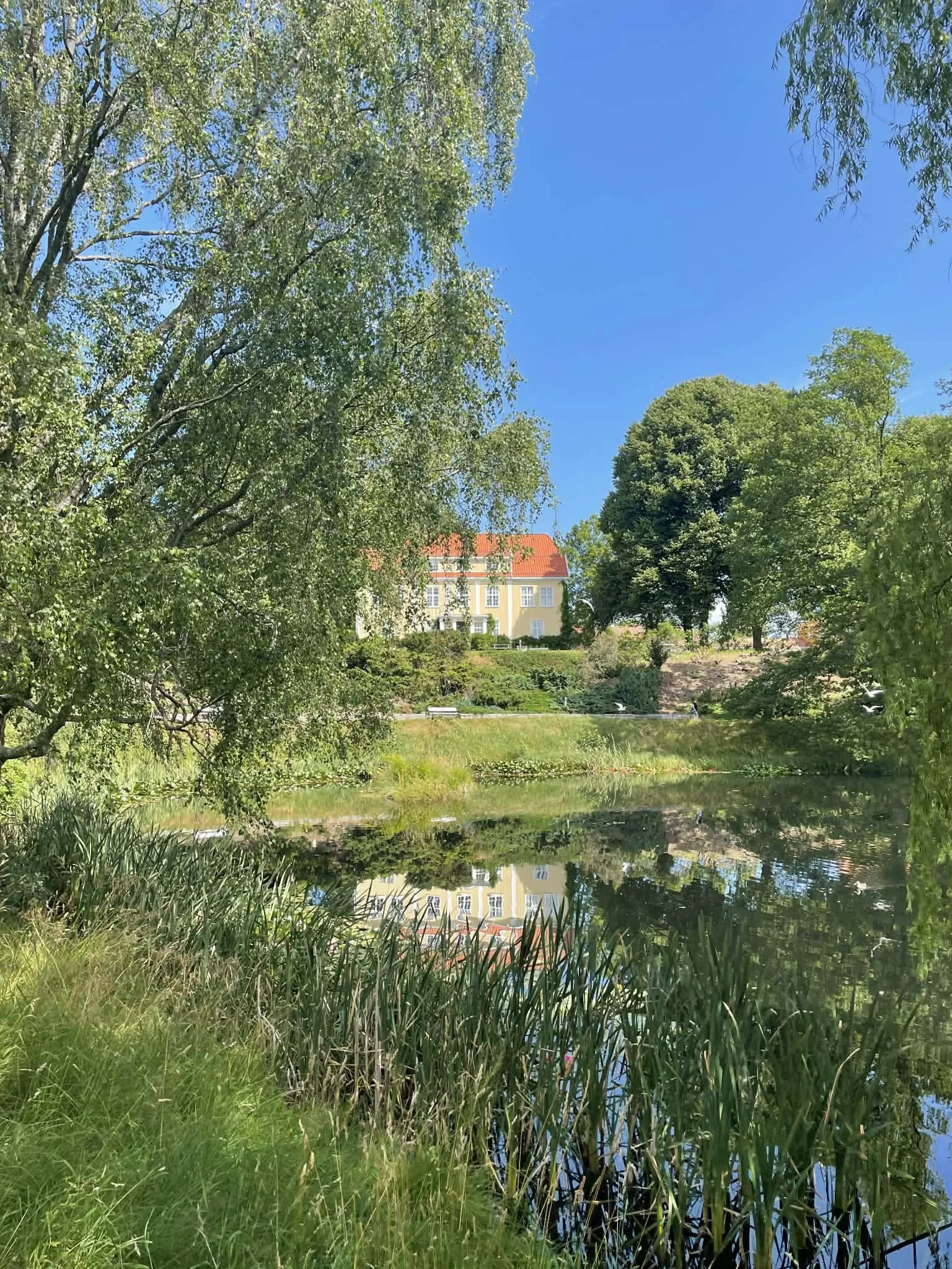 dømmesmoen.jpg