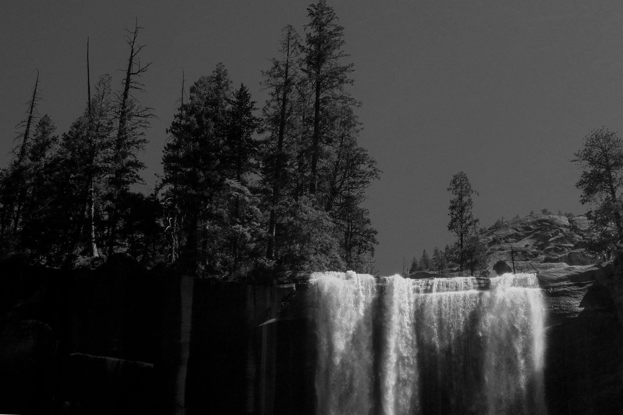 DSCF1562.jpg
